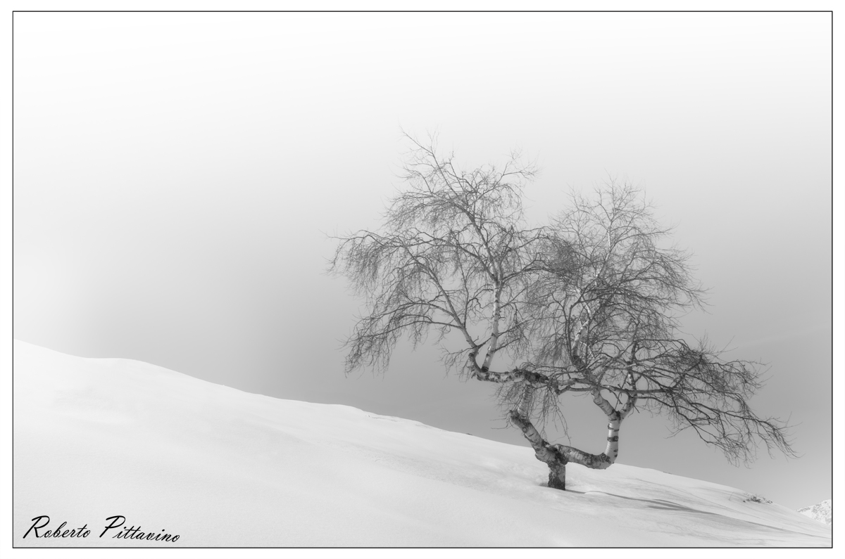 In silence and whiteness