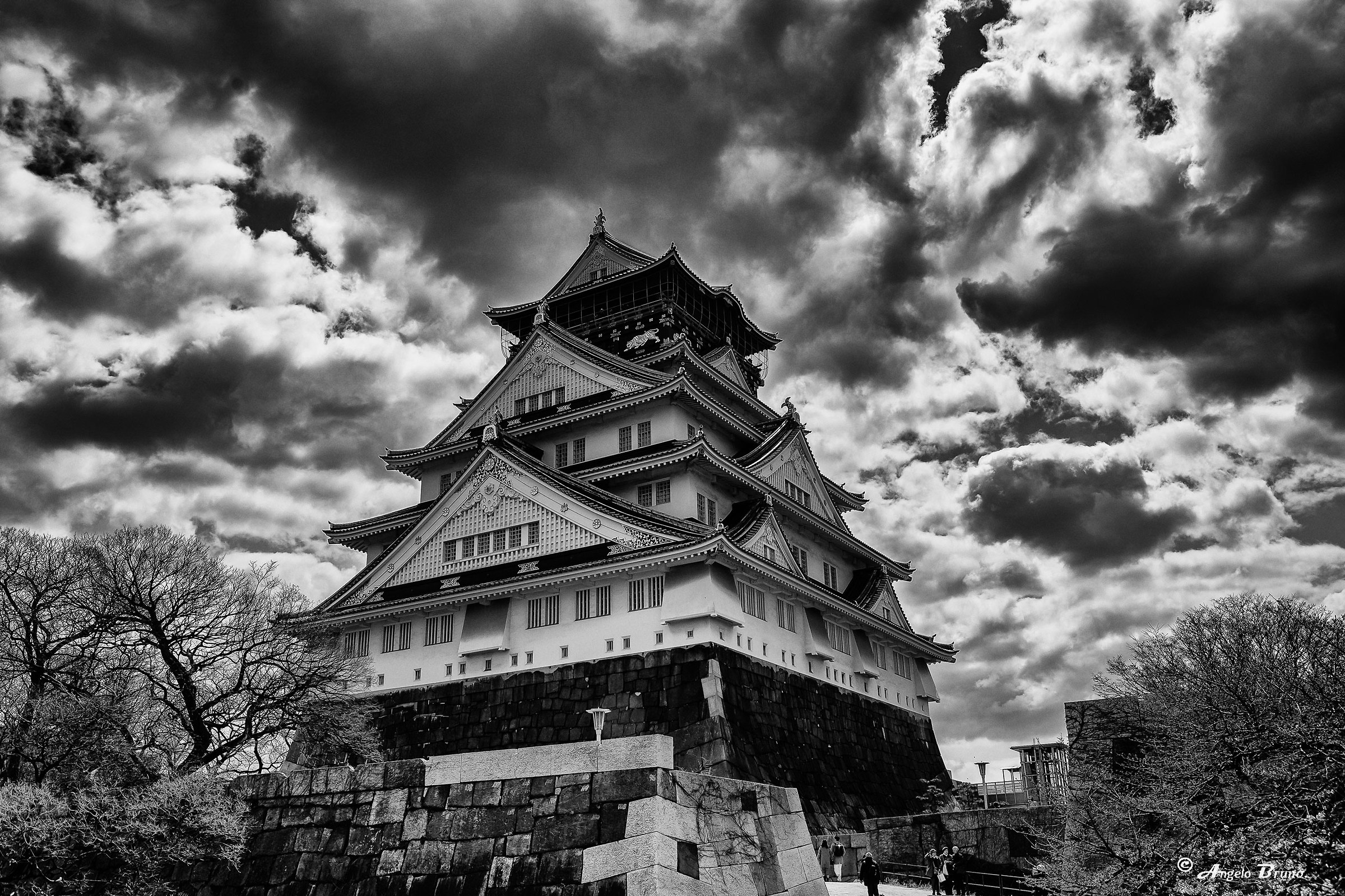 Osaka Castle