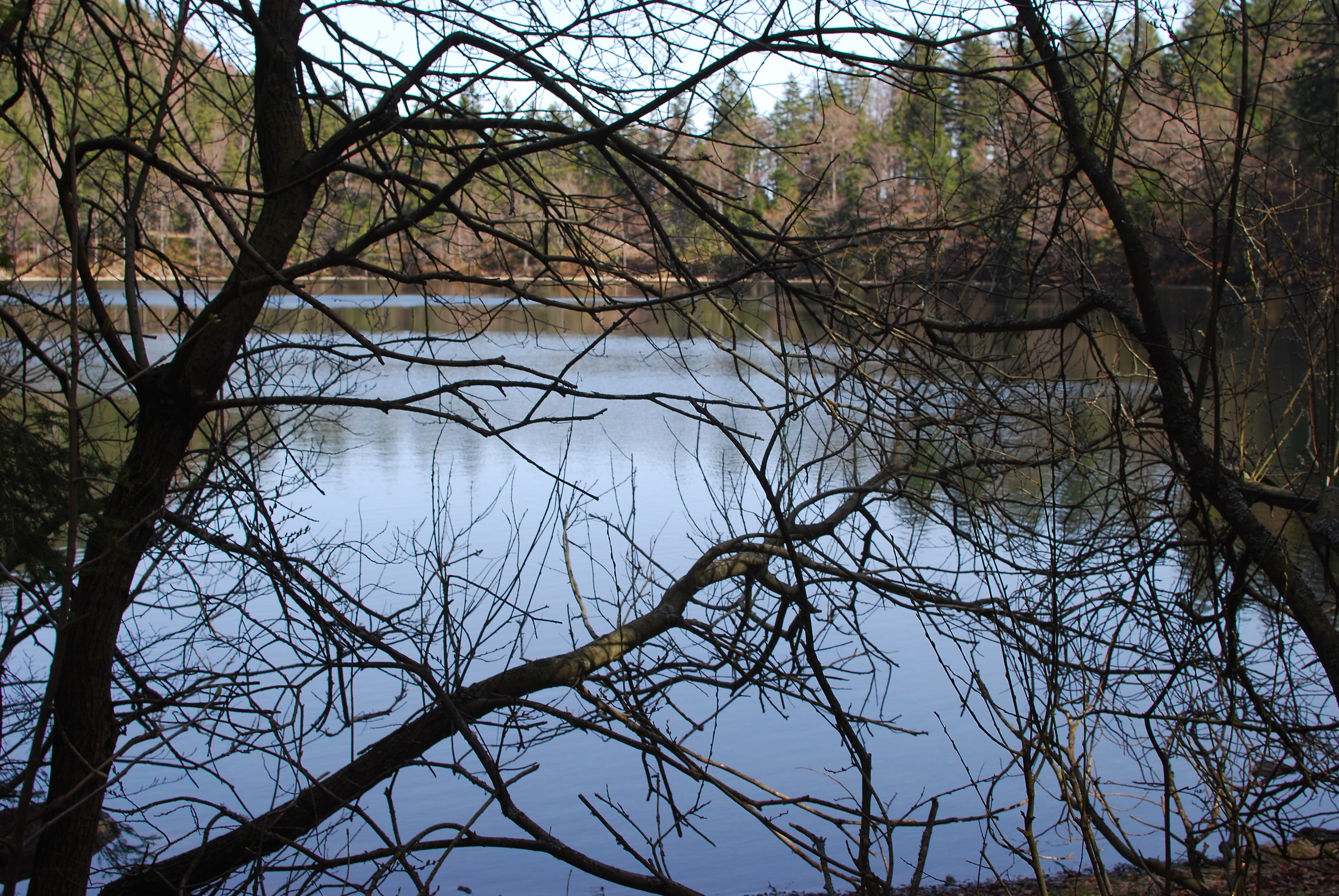 piccolo lago naturale