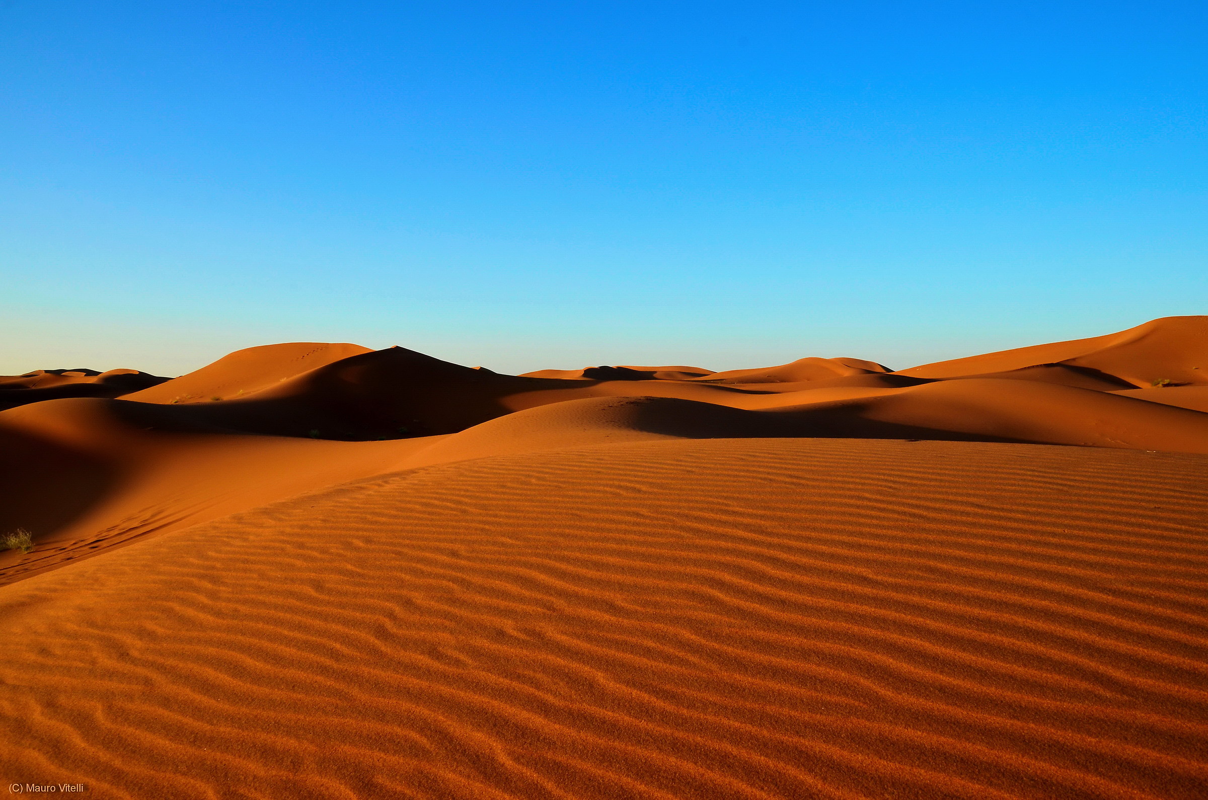 The Moroccan desert