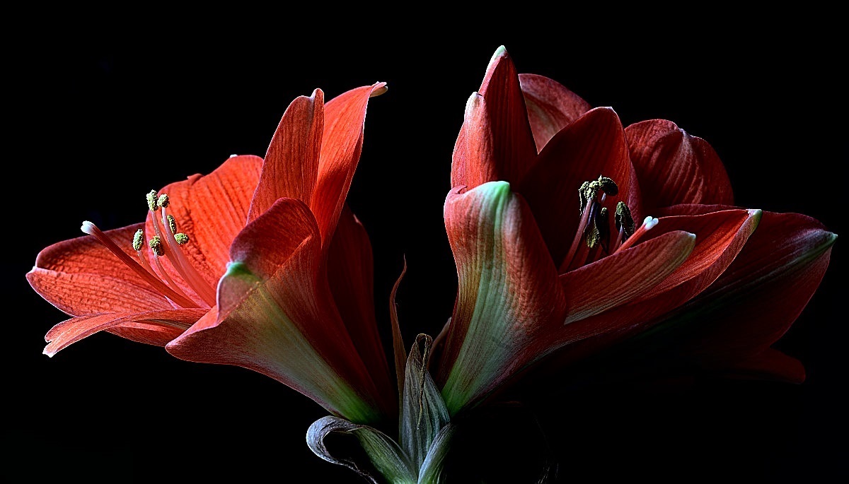 Two goblets ... opposites