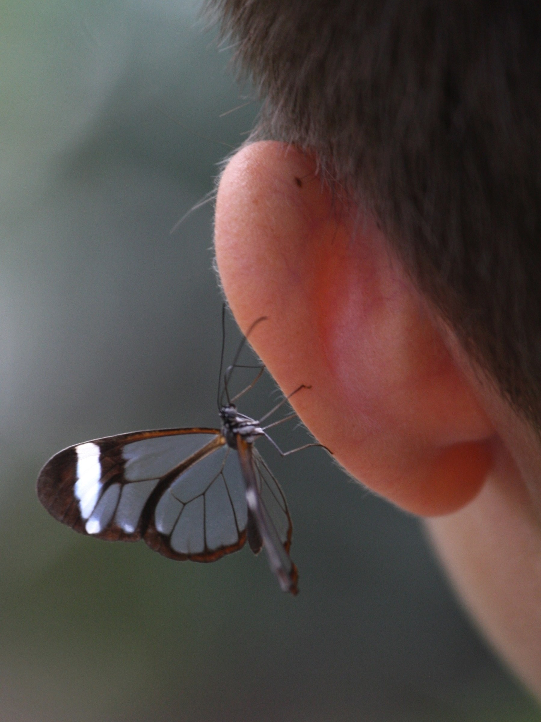 Ti confido un segreto ...