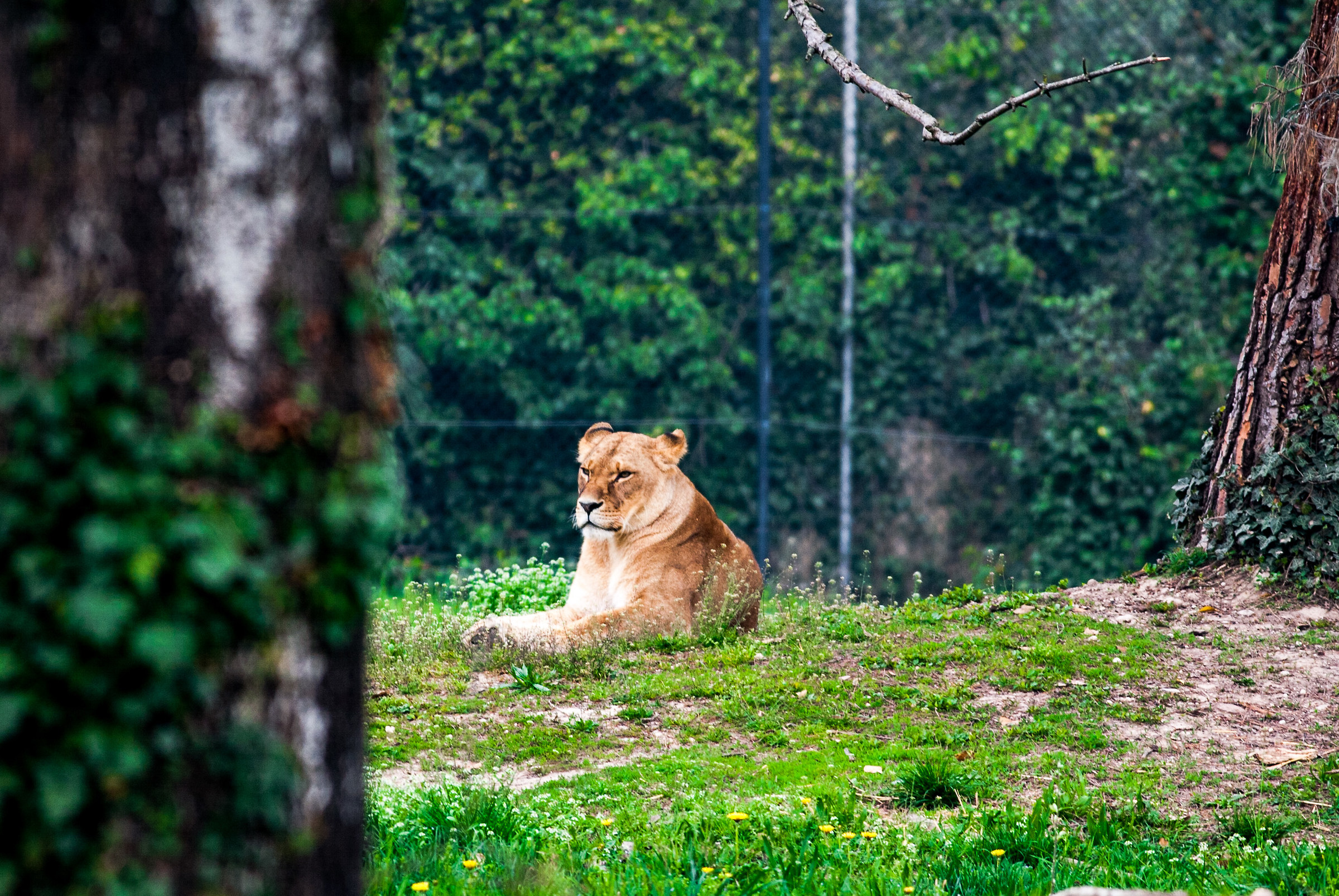 Everything under control