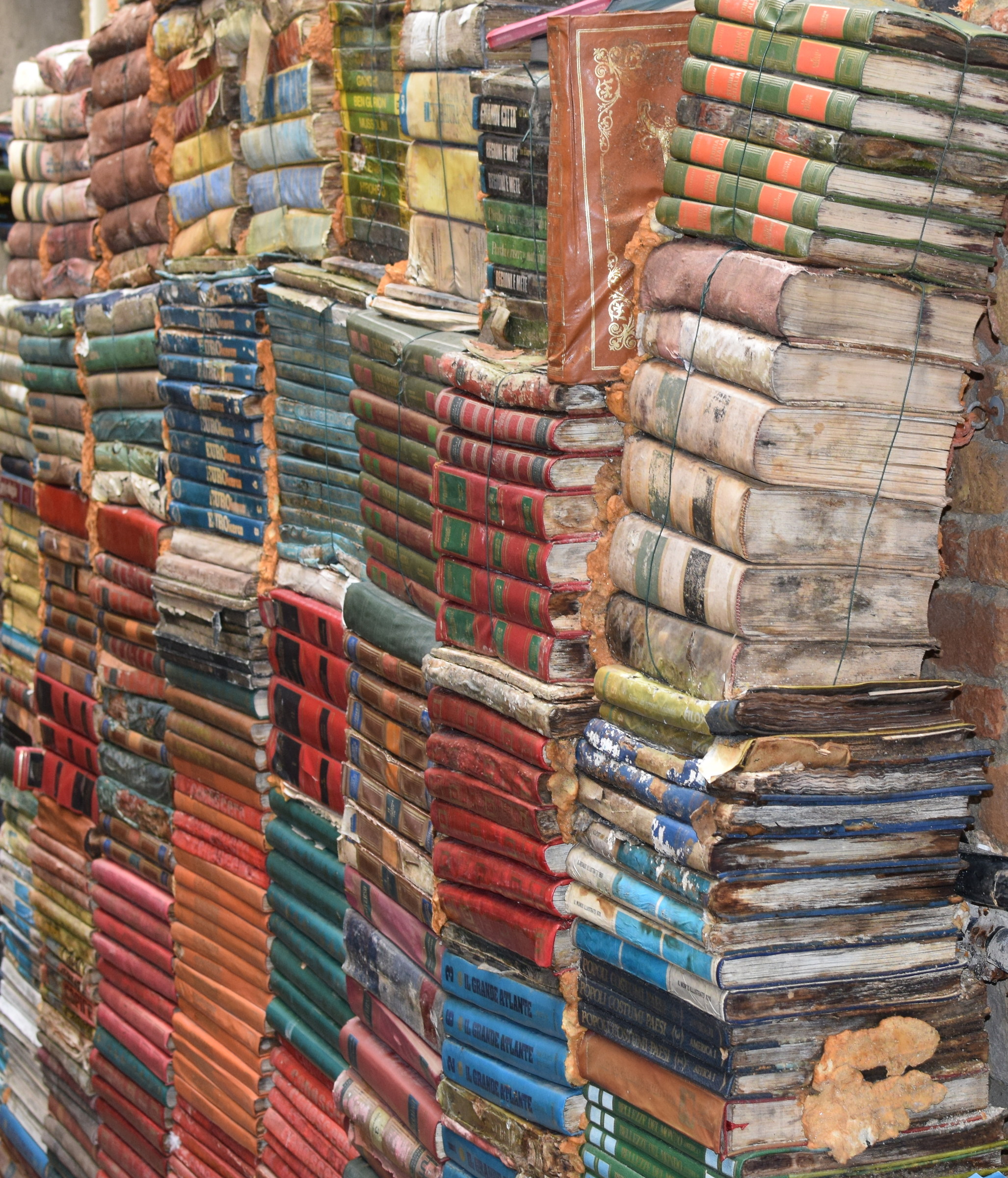 Retro shop Library Venice