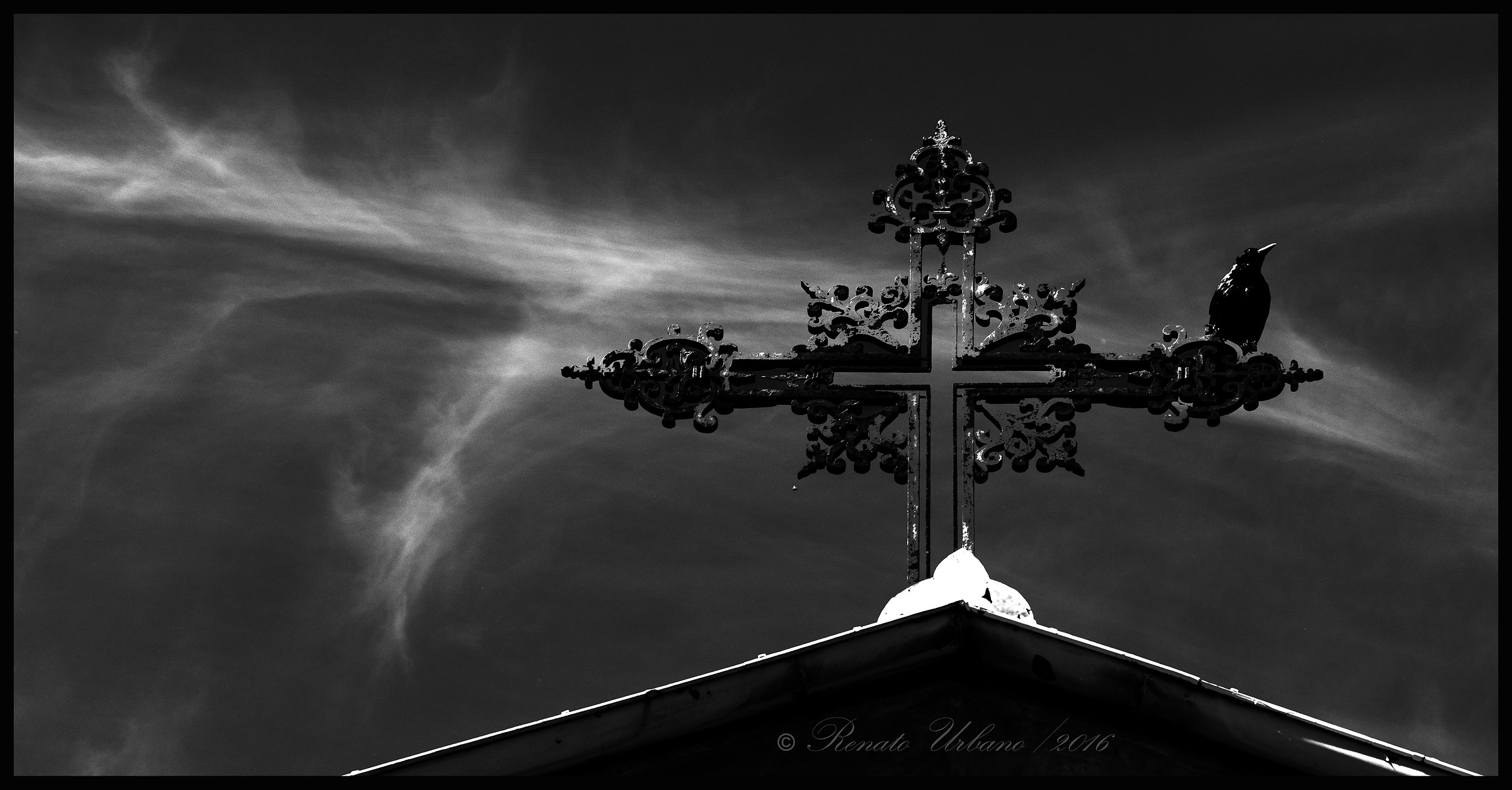 Il Corvo - traghettatore di anime