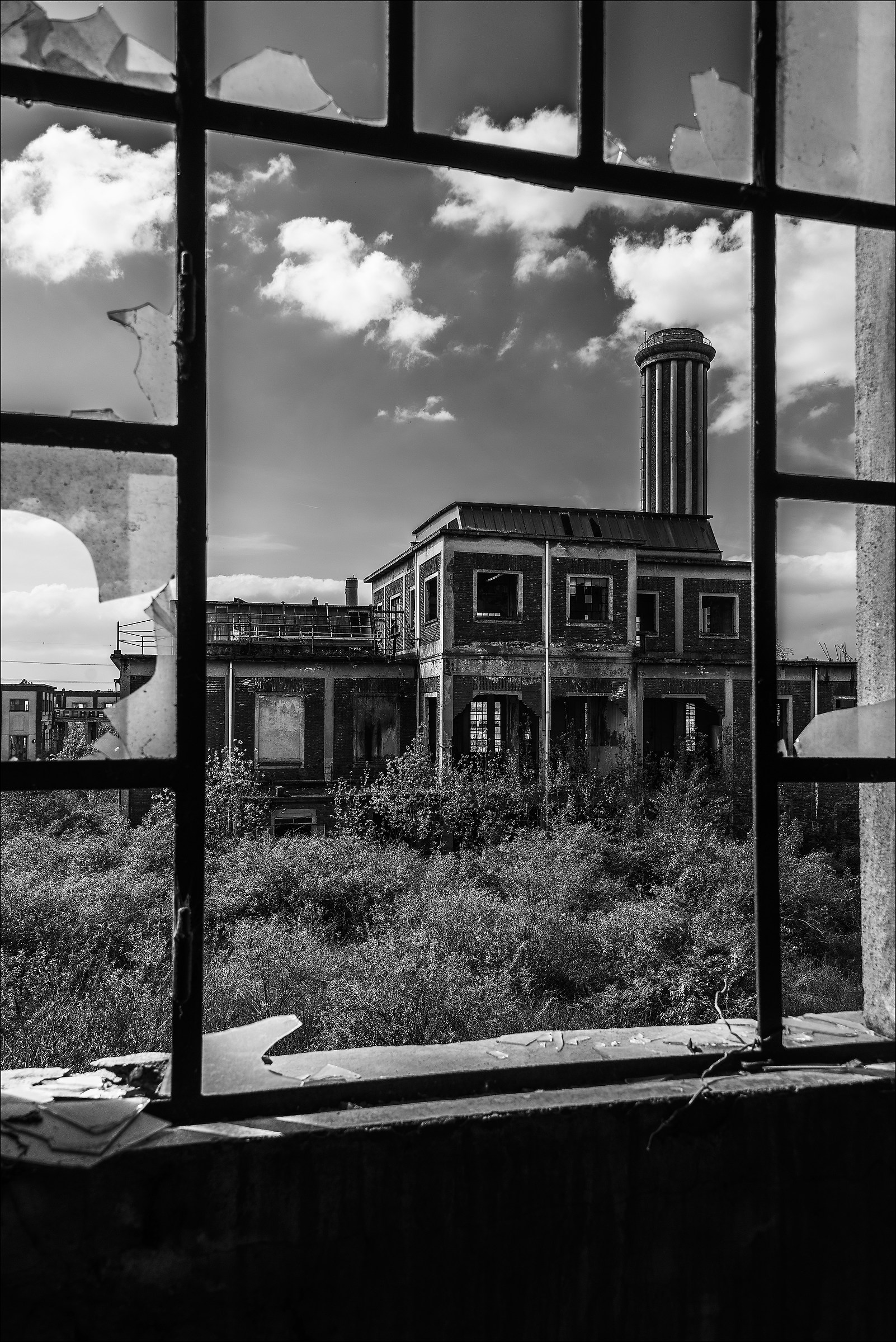 Snia Fibre Varedo (mb) 6#