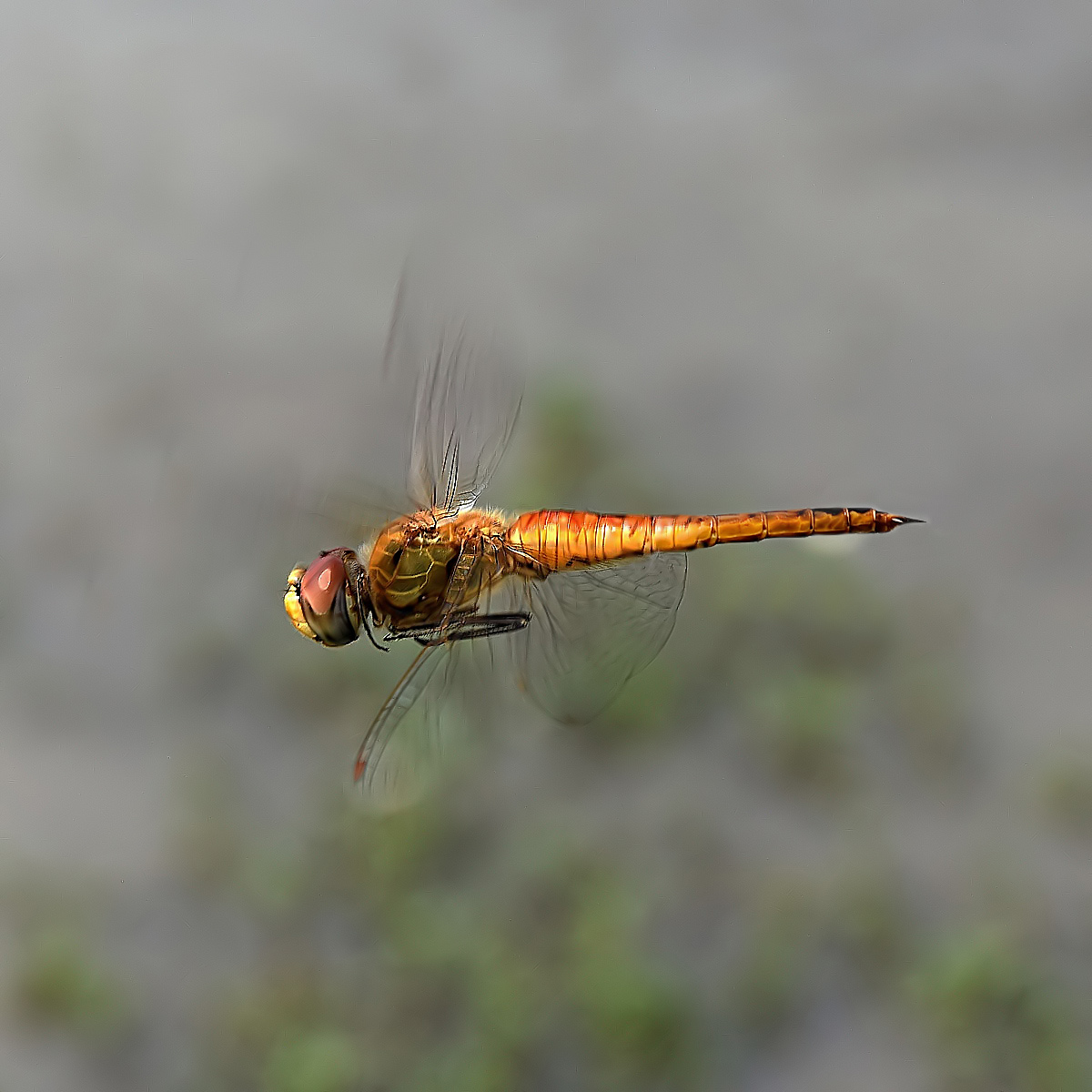 Semarang Java Indonesia