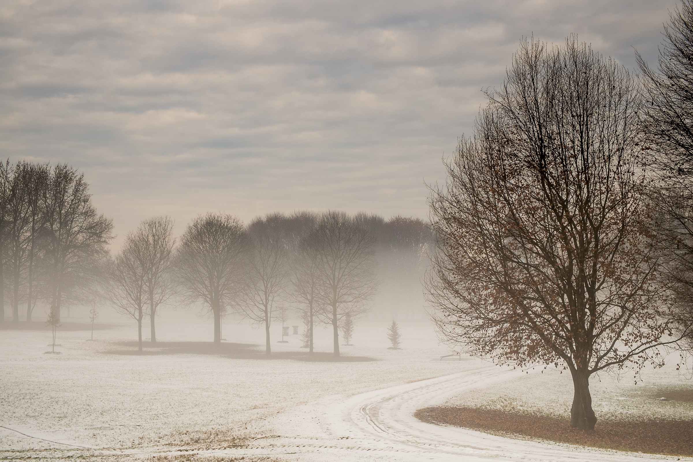 winter atmosphere in the city '