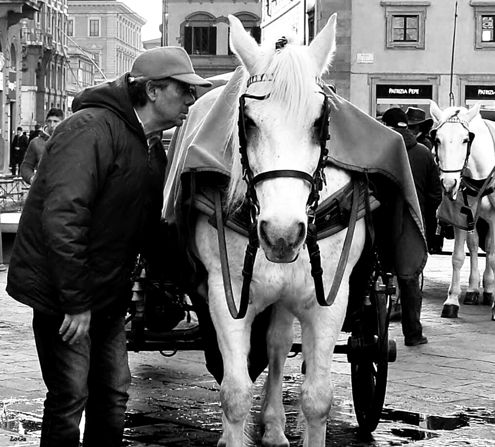 b & w secretly Recommendations