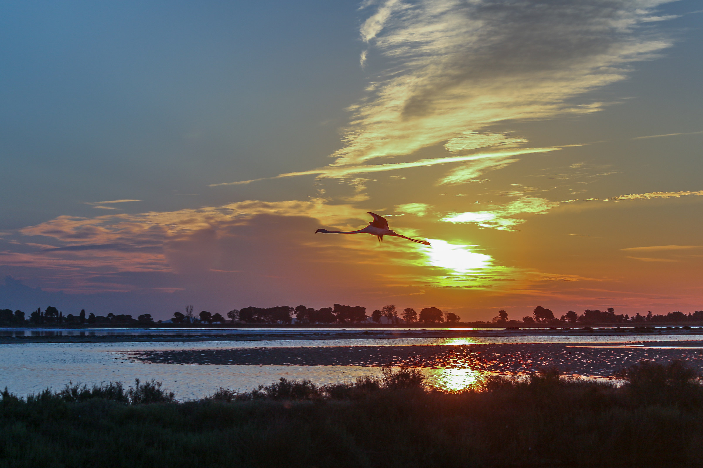 con un po di fortuna e la solita levataccia ......