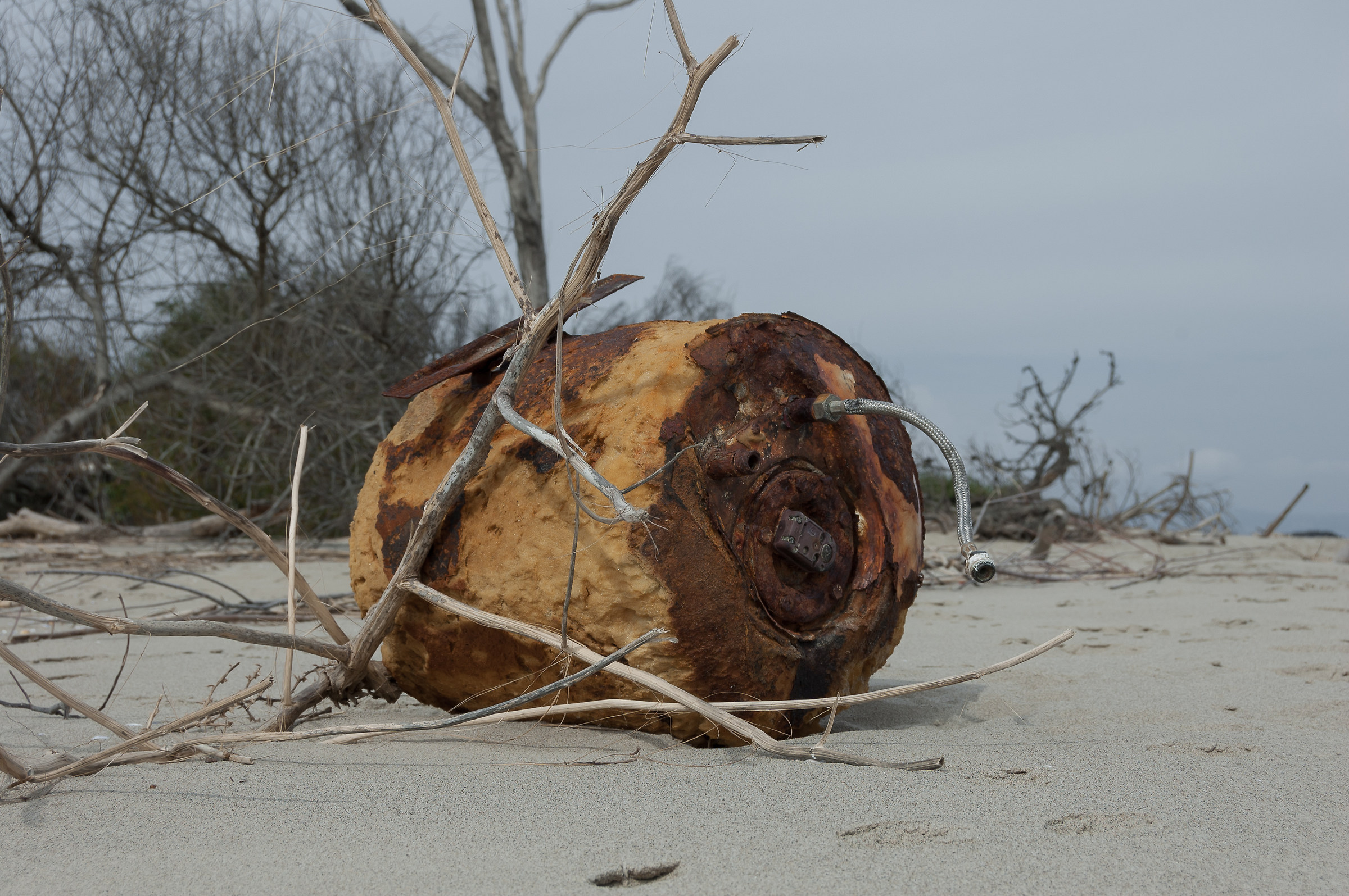 ... Oasis Simeto ... !!