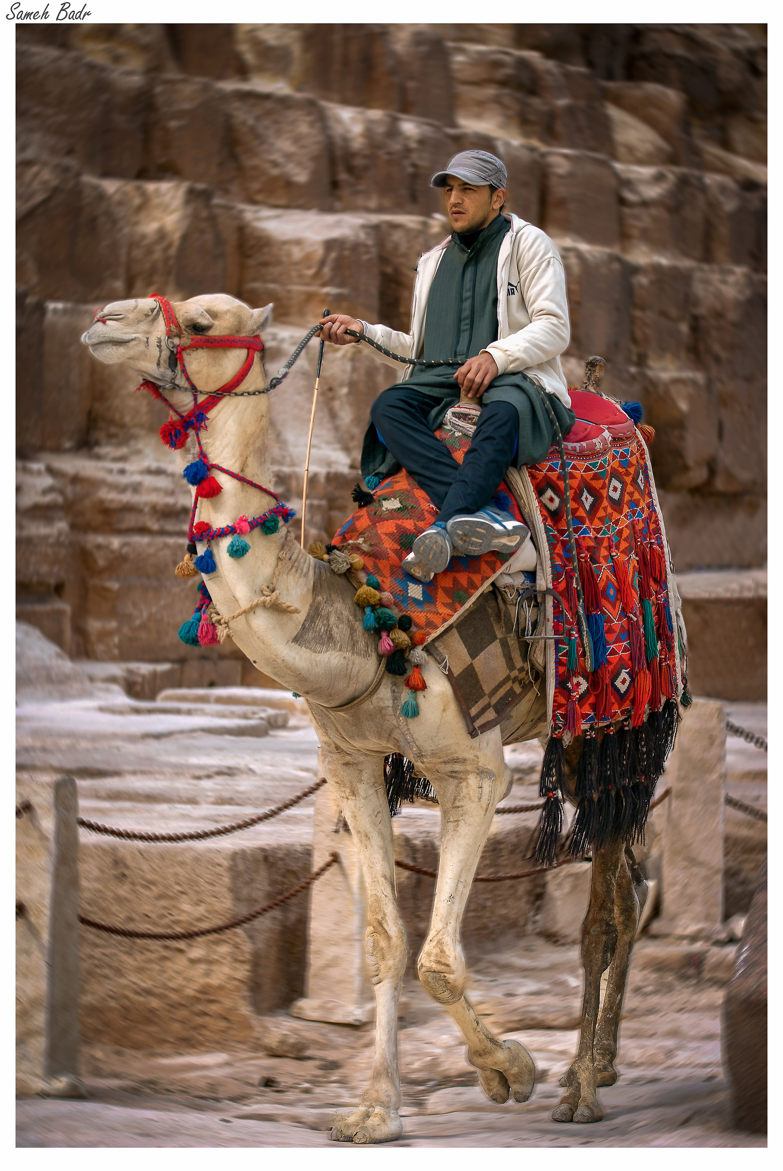 Piramidi egiziane di Giza