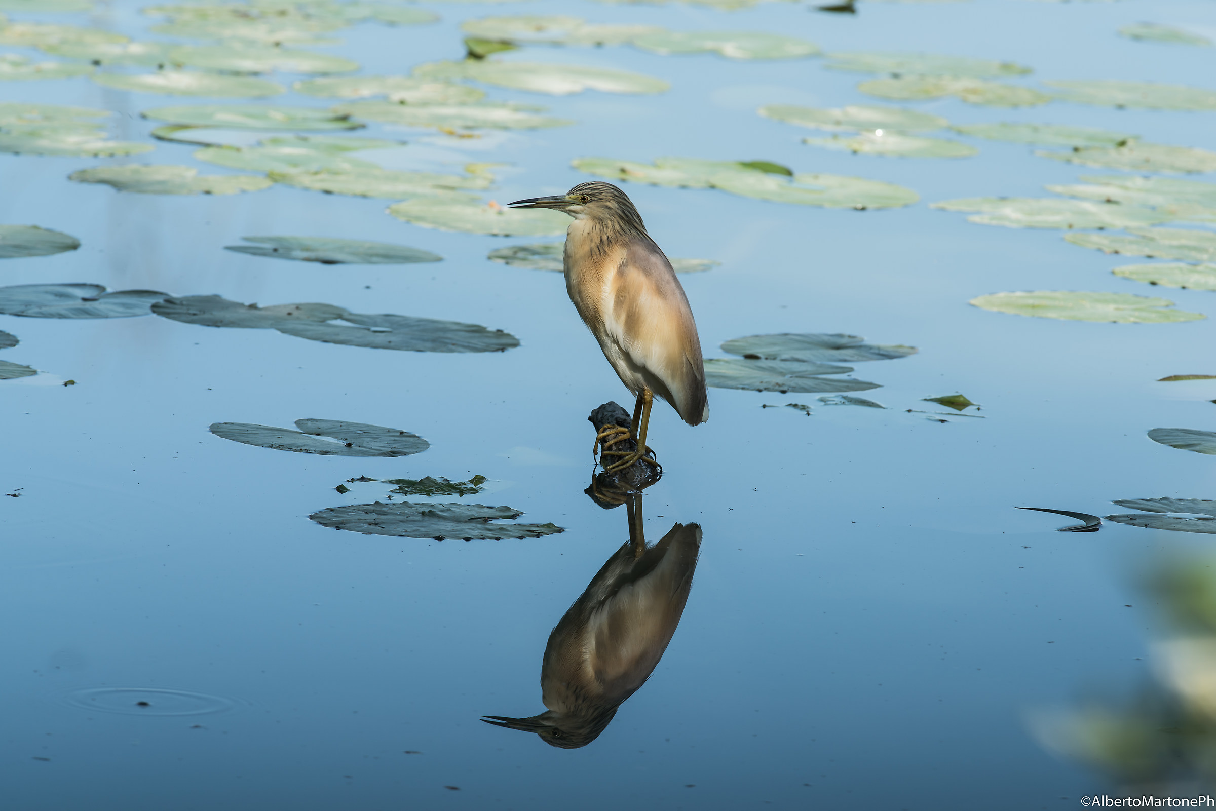 Vanità allo specchio