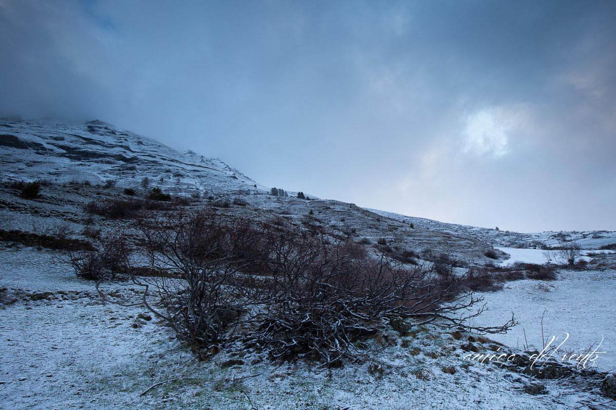 the last strokes of the cold ..