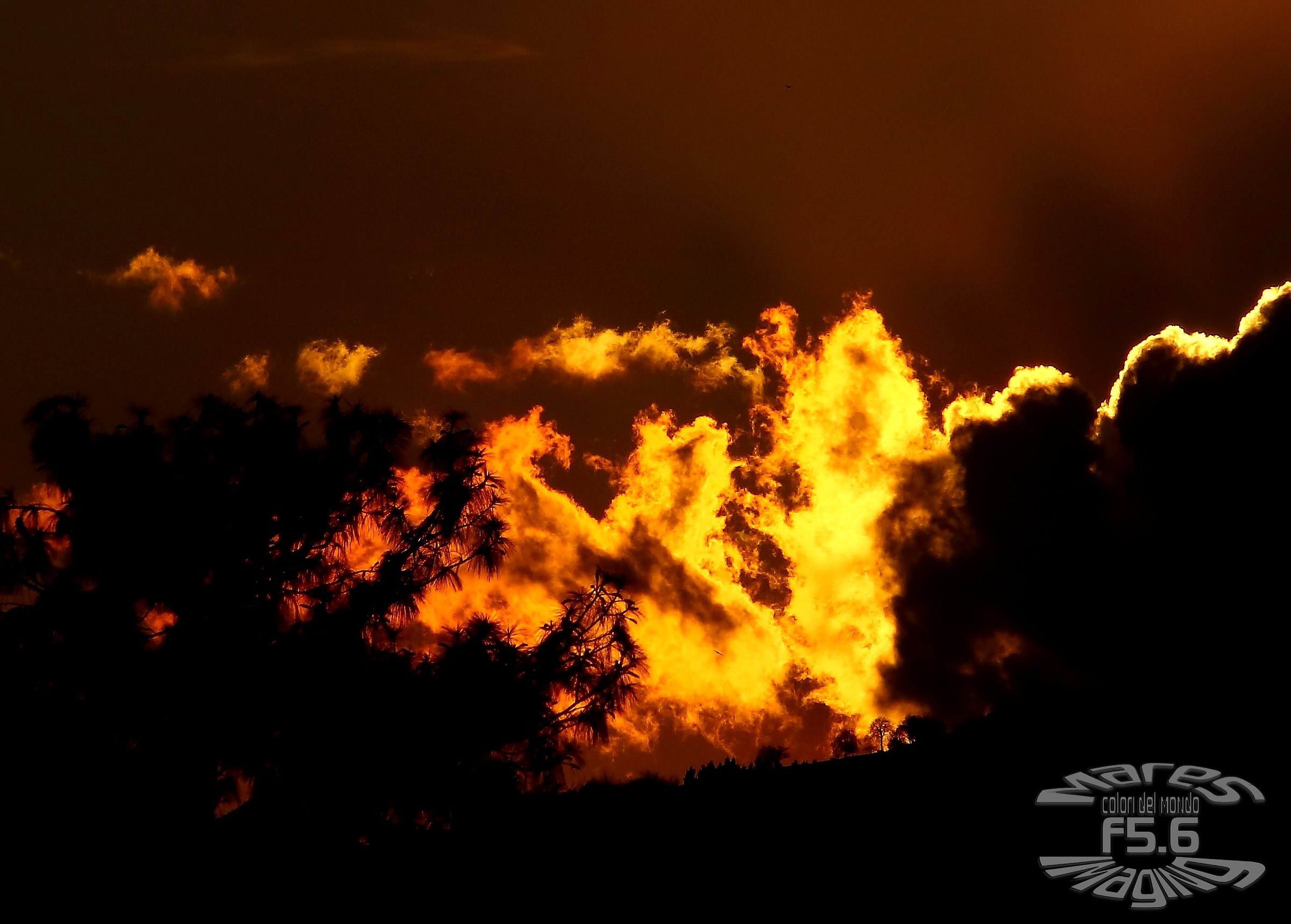 Sunset of fire in Conco