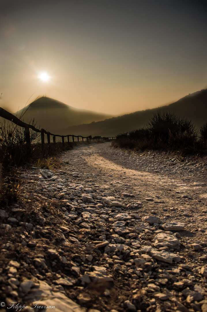 "Ciottolato Euganeo"