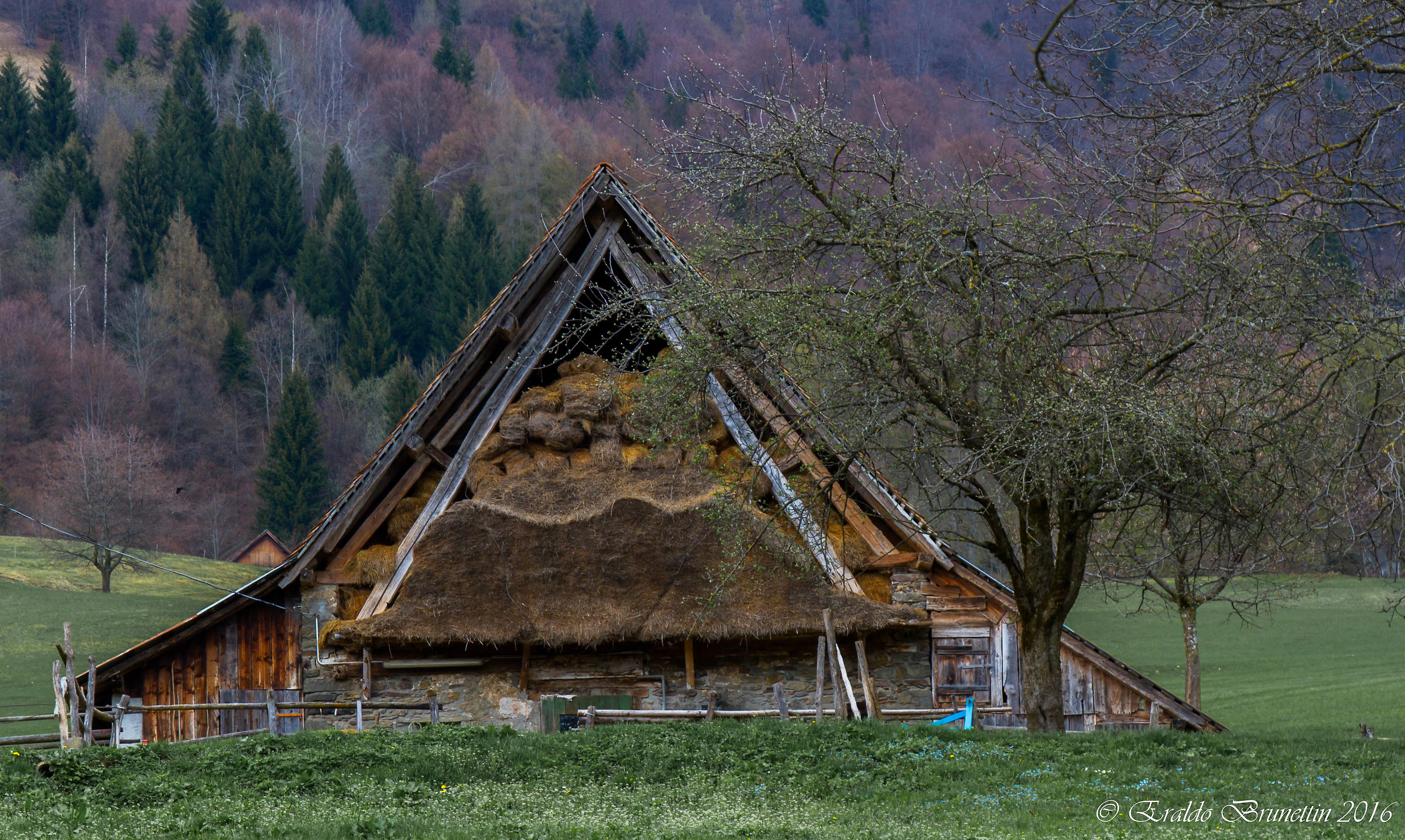 Forca di Pani, provviste.