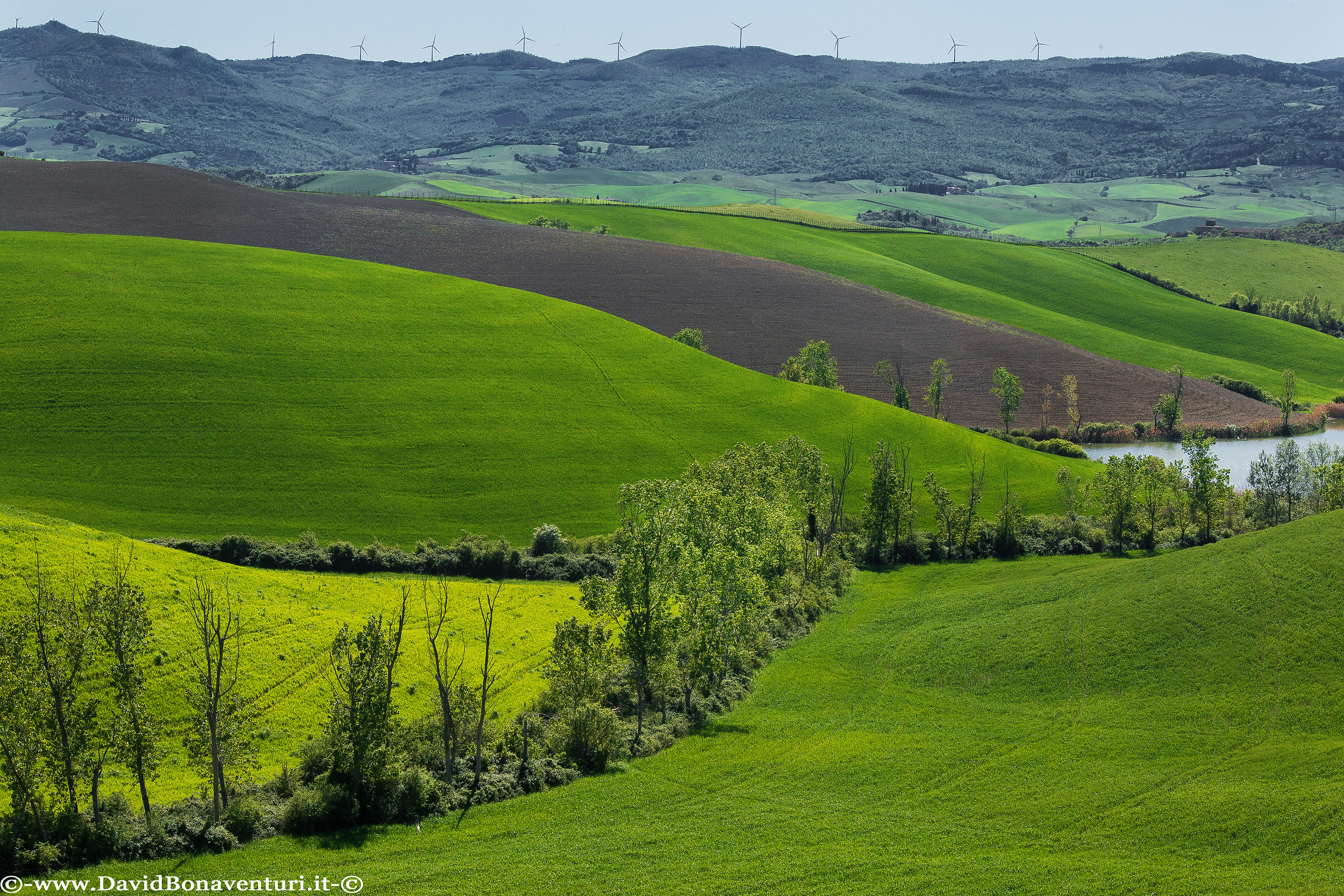 Hills of Volterra and Peccioli