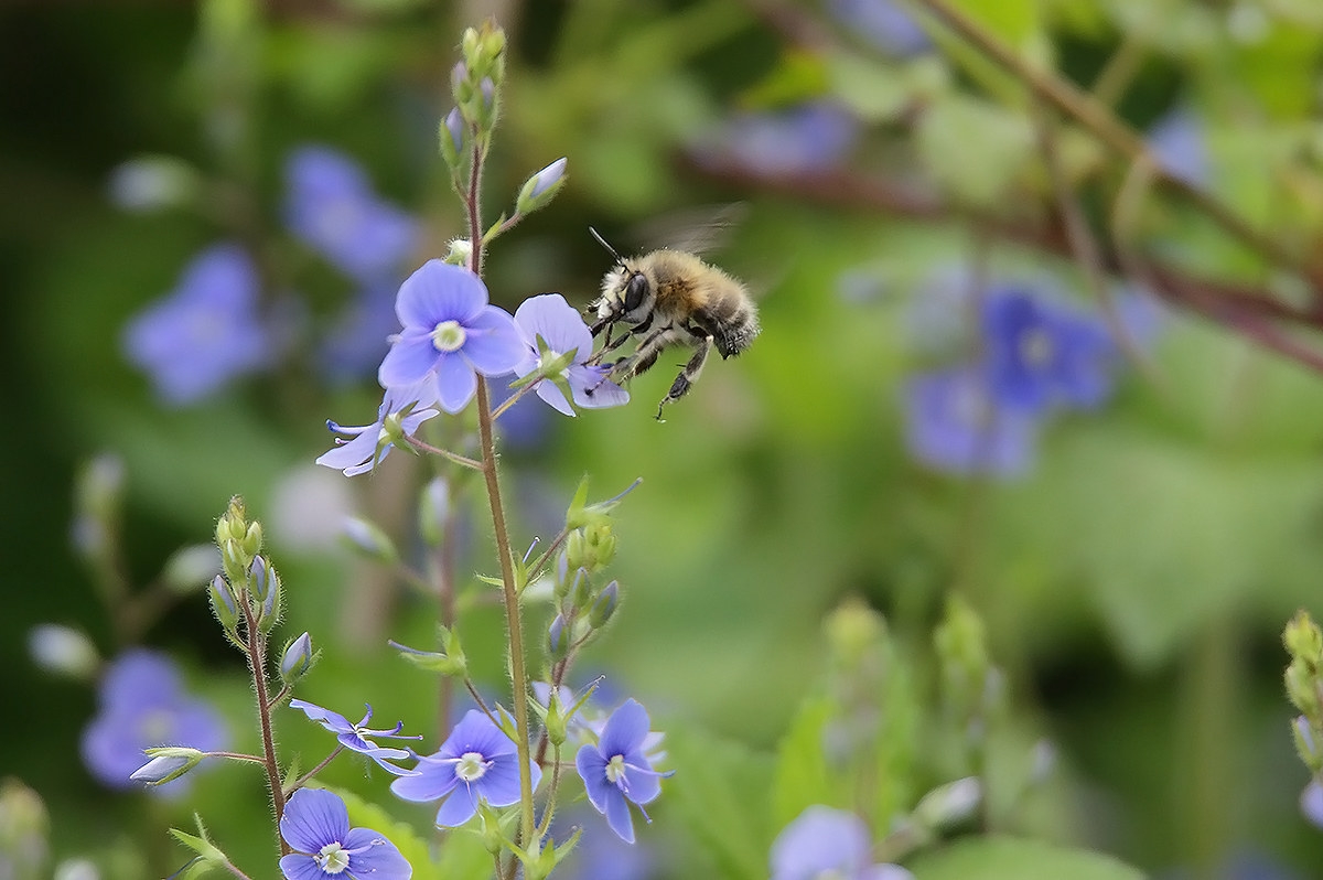 stand on the piece ,,,,