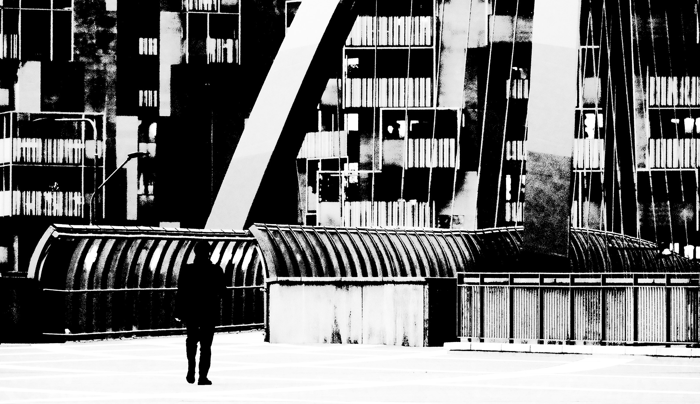 the man and the city