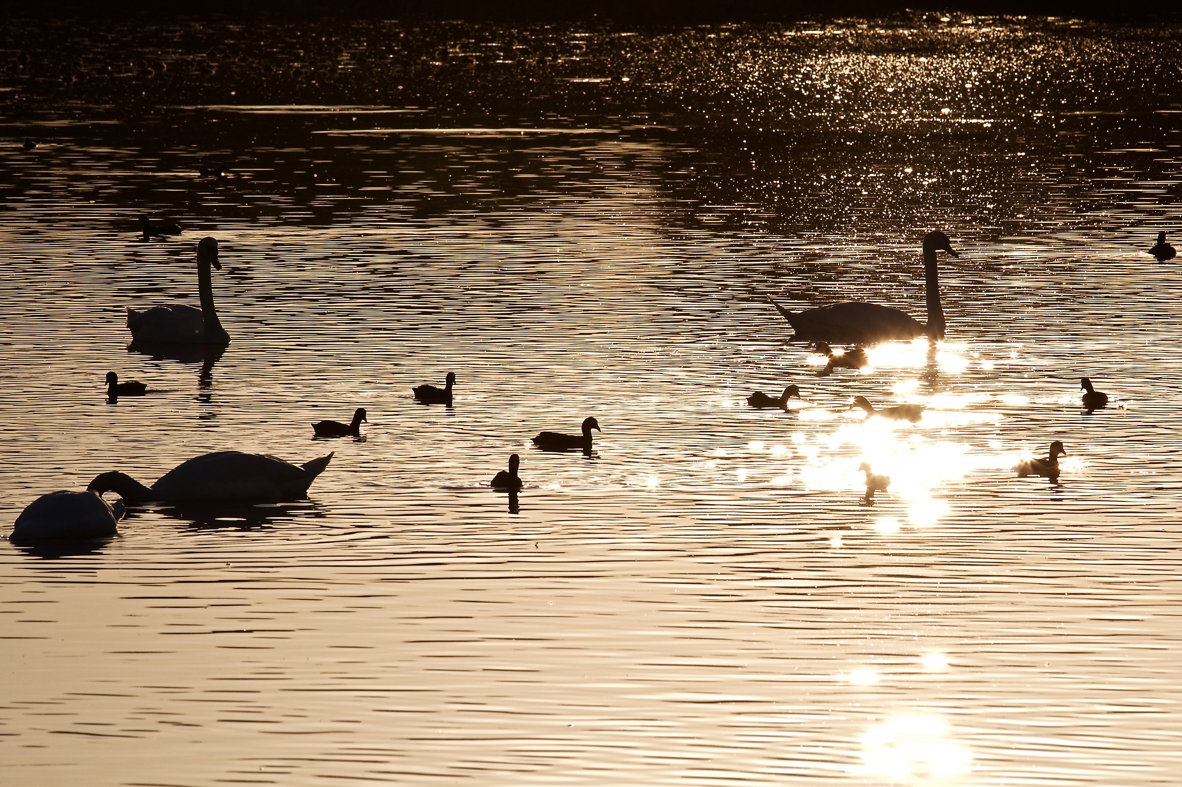I colori della sera...