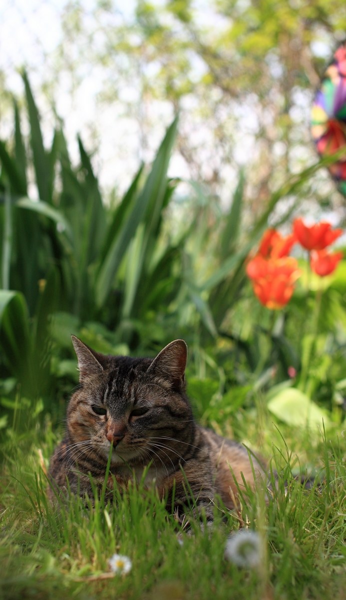 Gardening, what a passion!