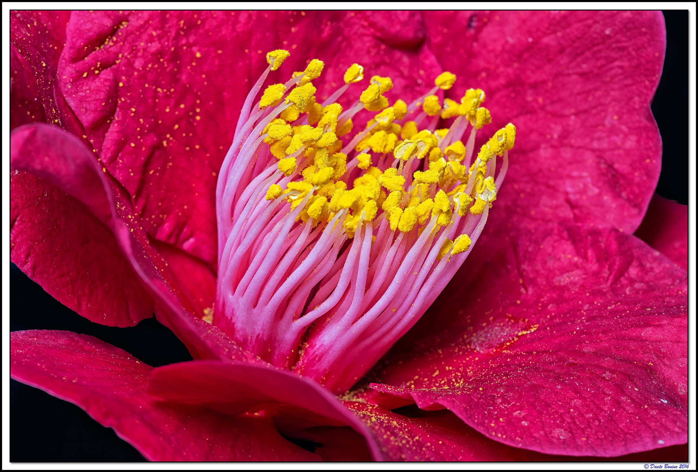 That cciài a match?