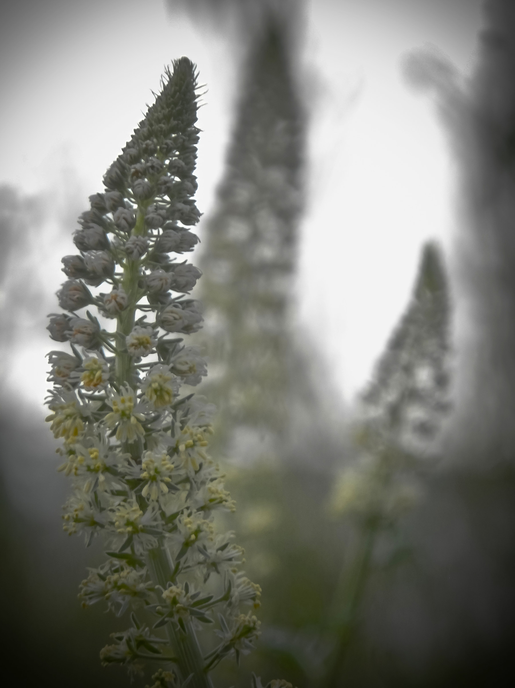 Nature is full of energy