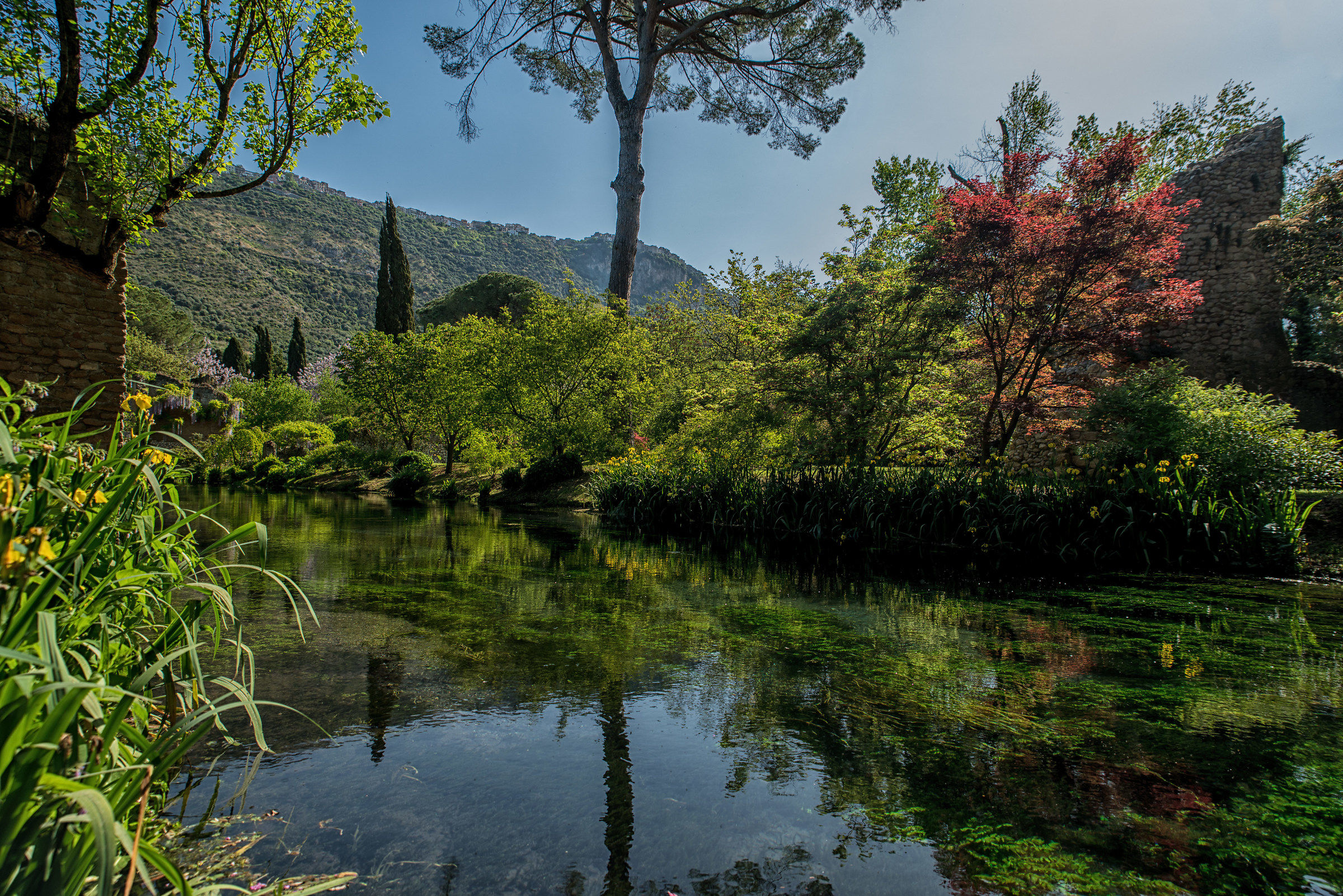 Ninfa Gardens 1