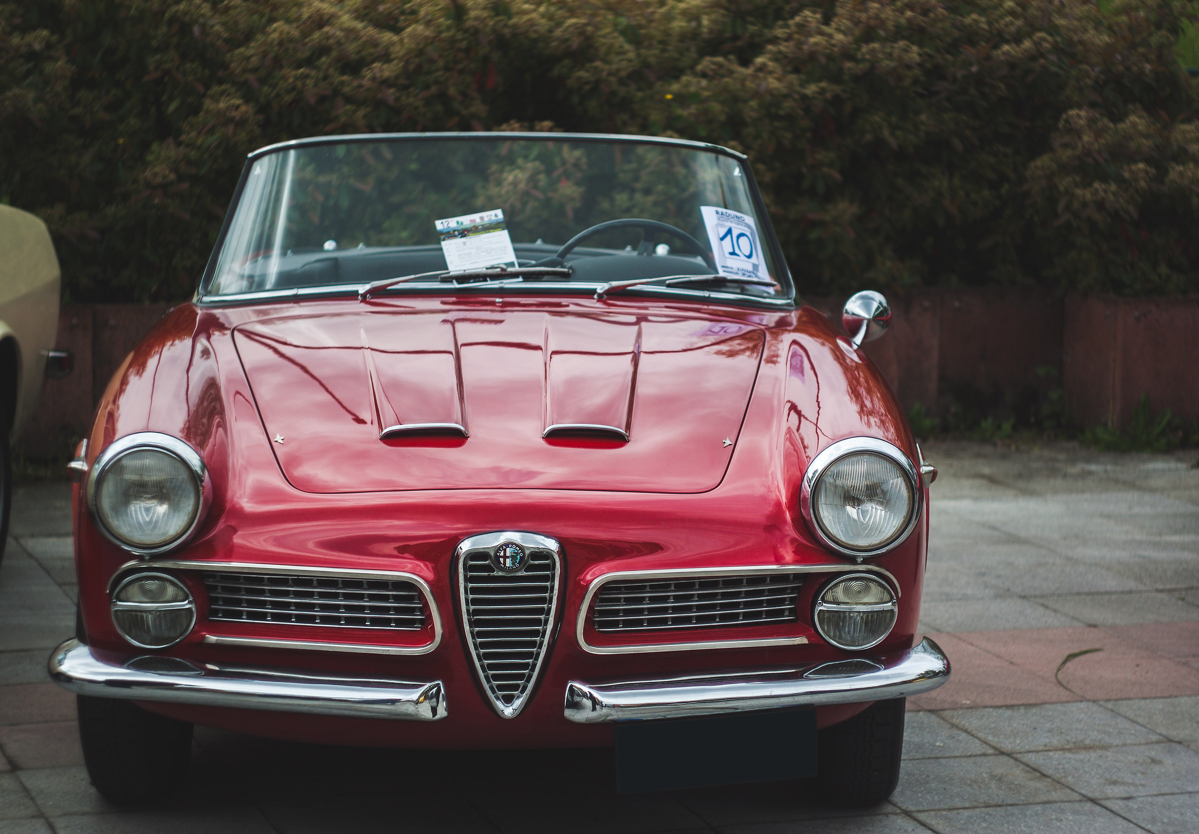 Alfa Spider Touring