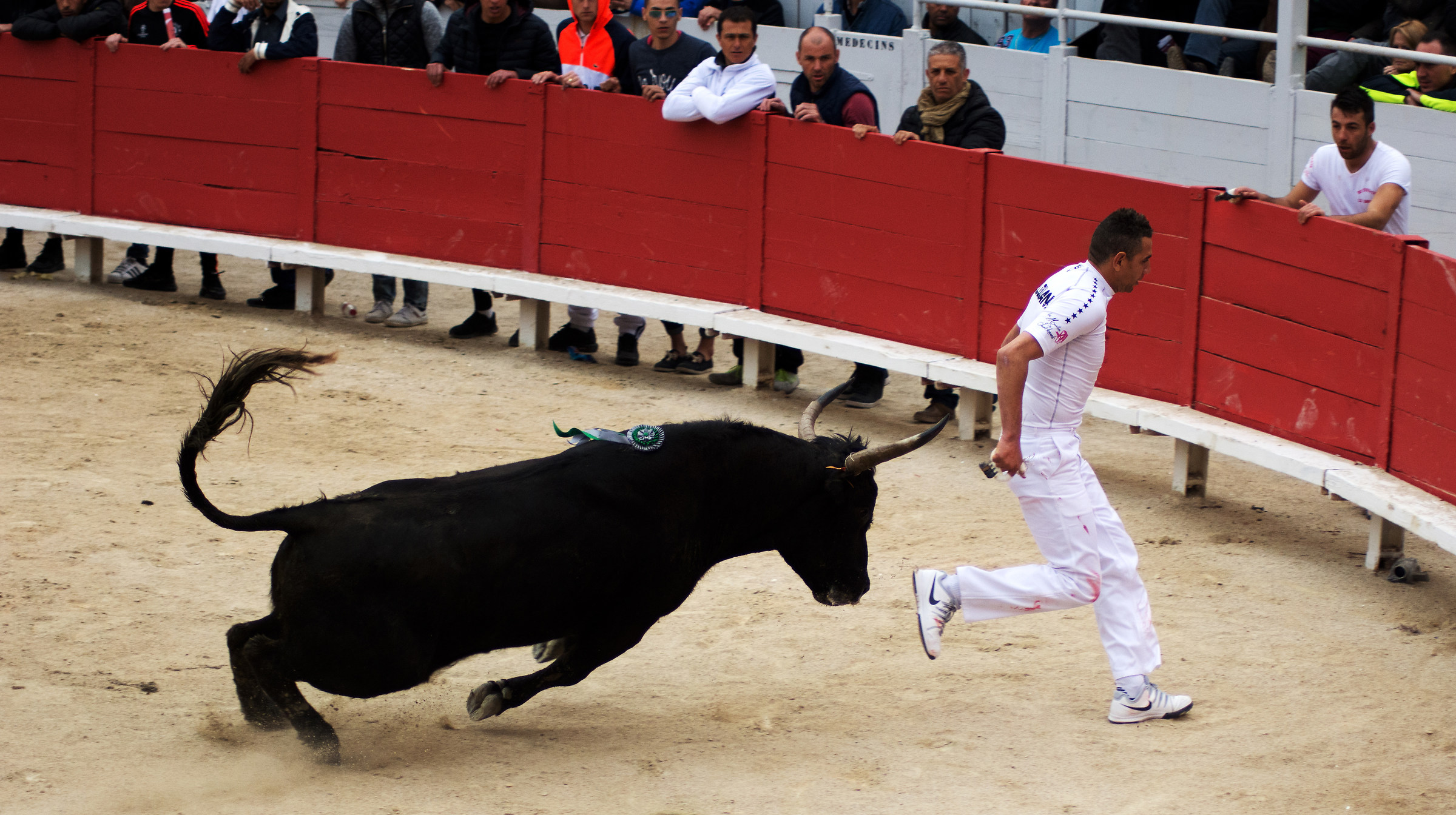 The course camarguaise Arles