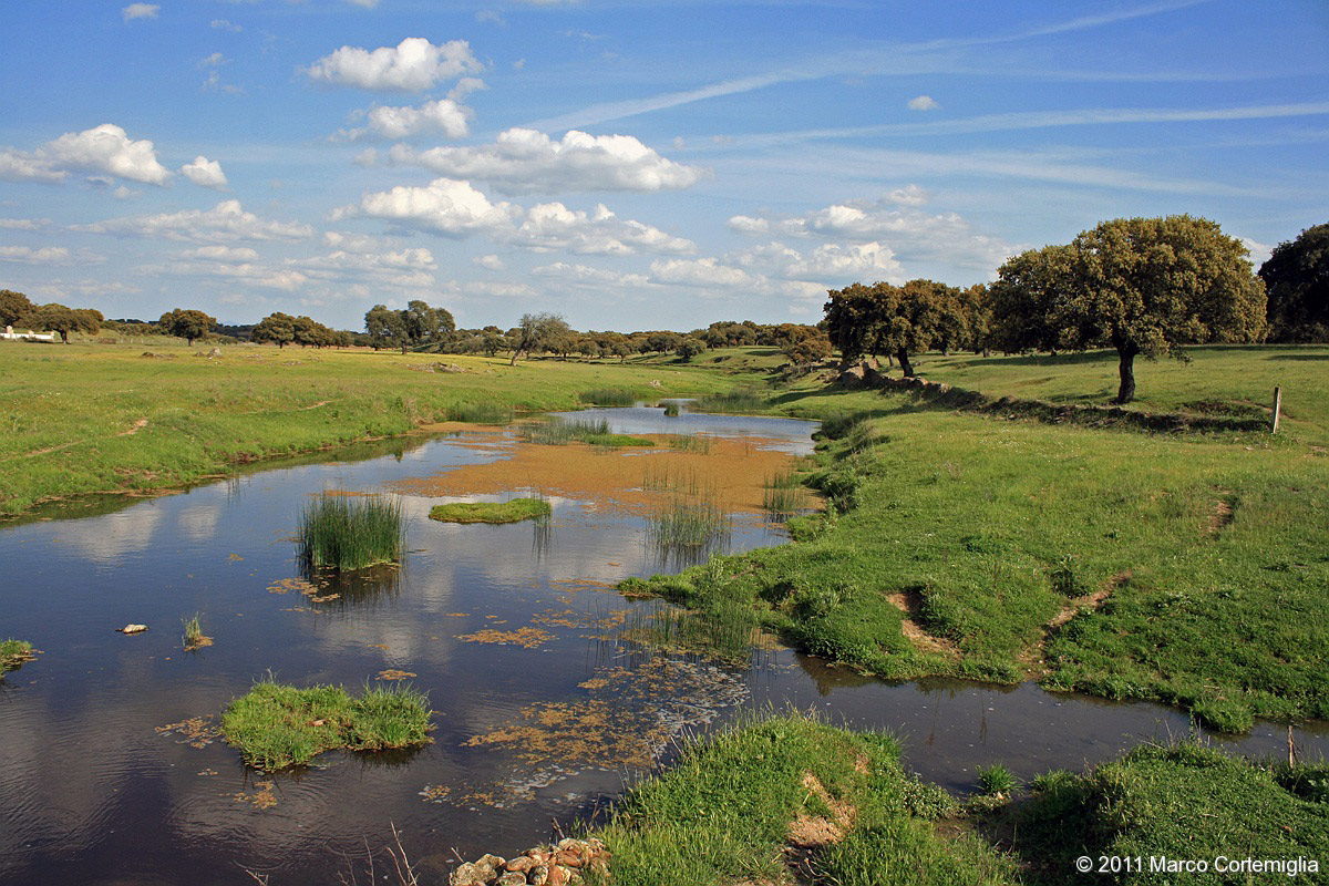 Terre primordiali - Extremadura, Spagna