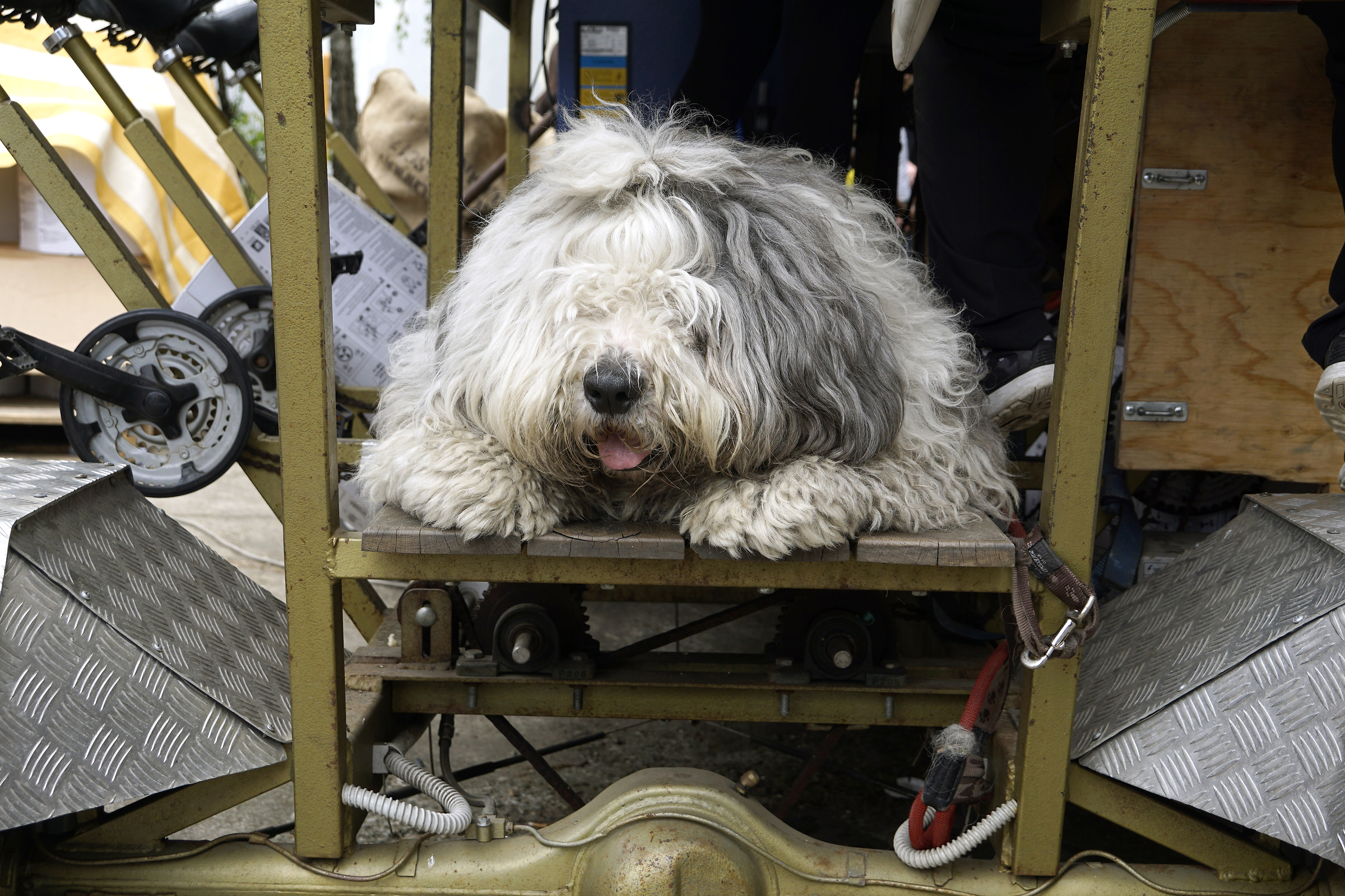 The emblem of fatigue