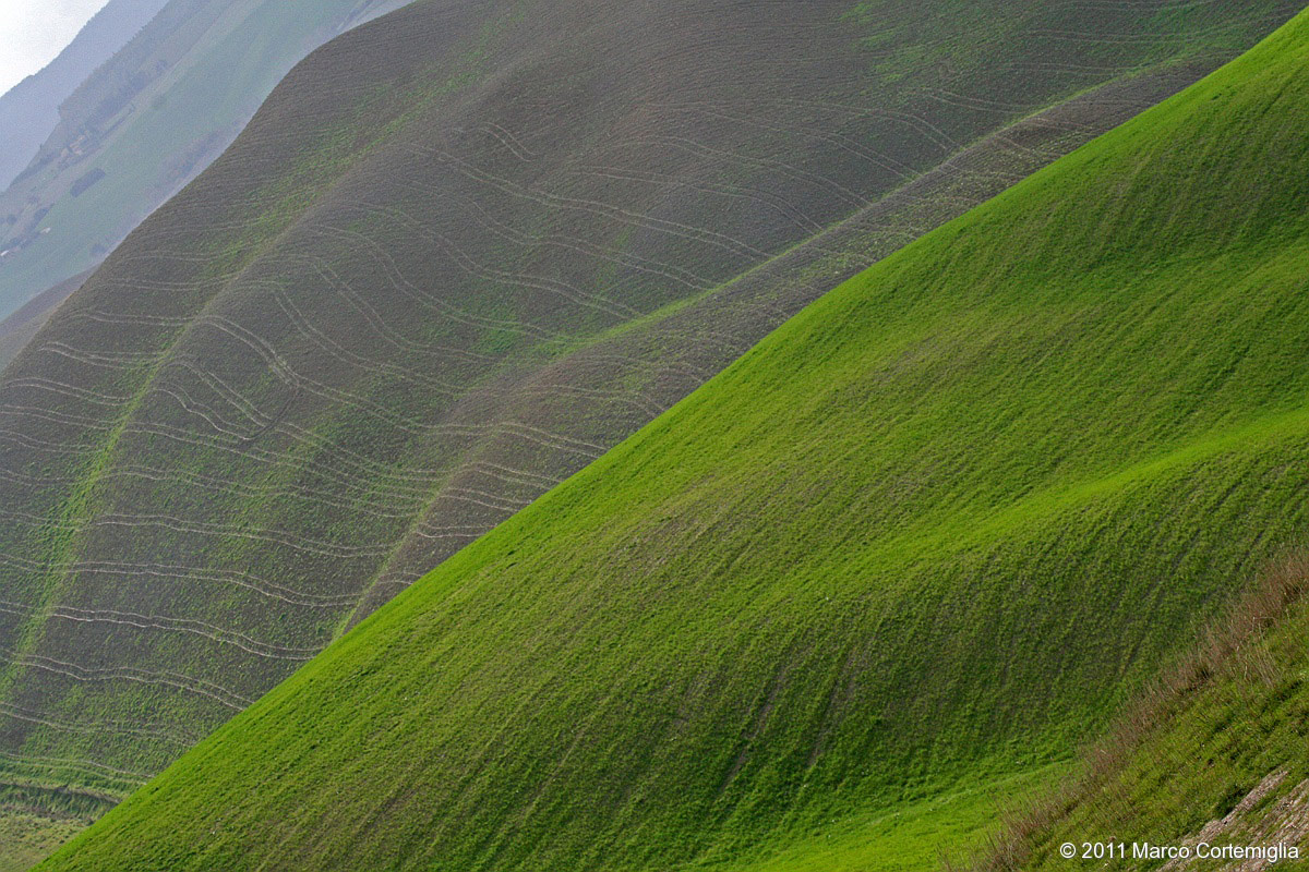 Terre ondulate - colline pisane, Toscana
