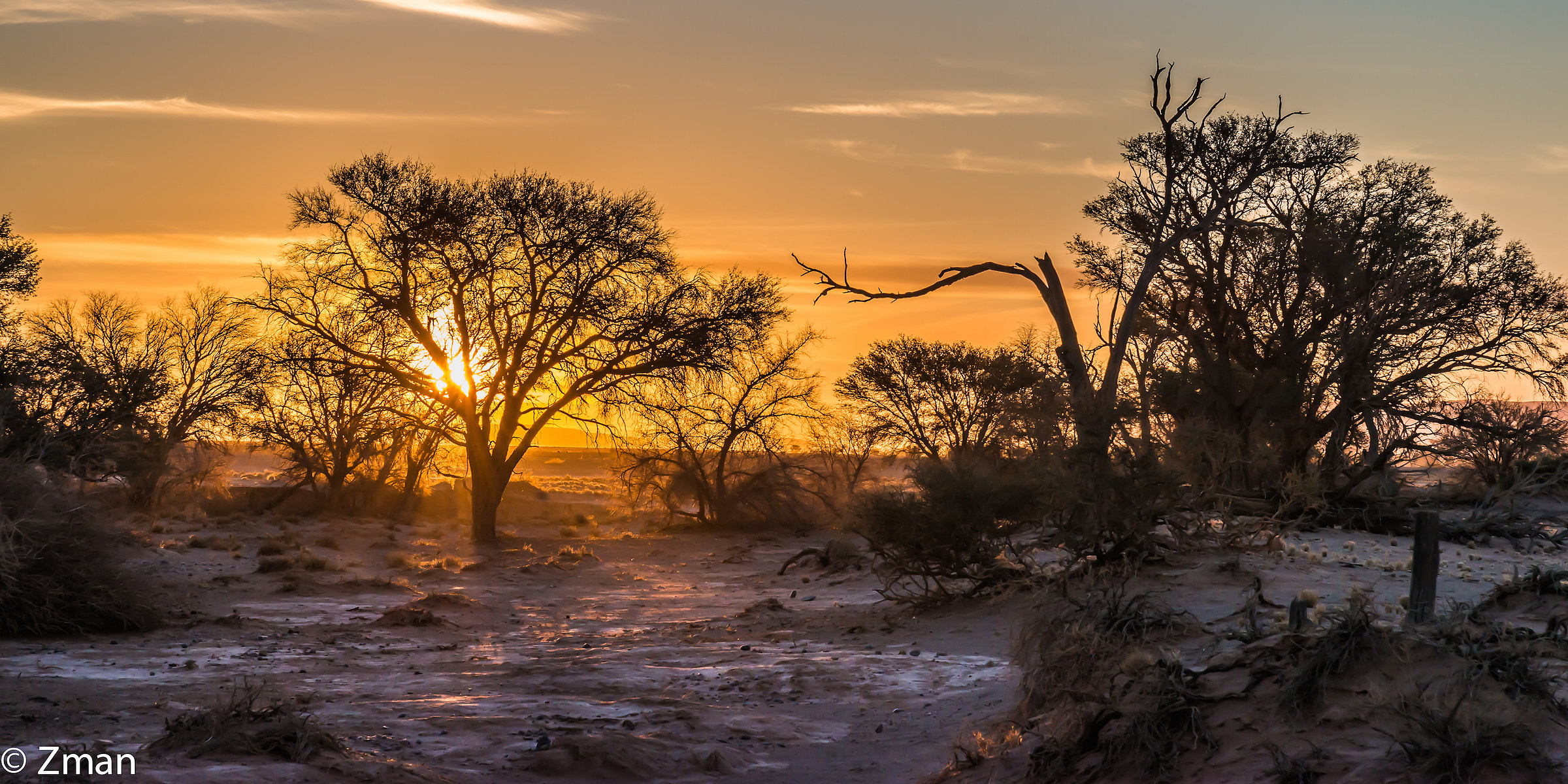 Namibia The Wild