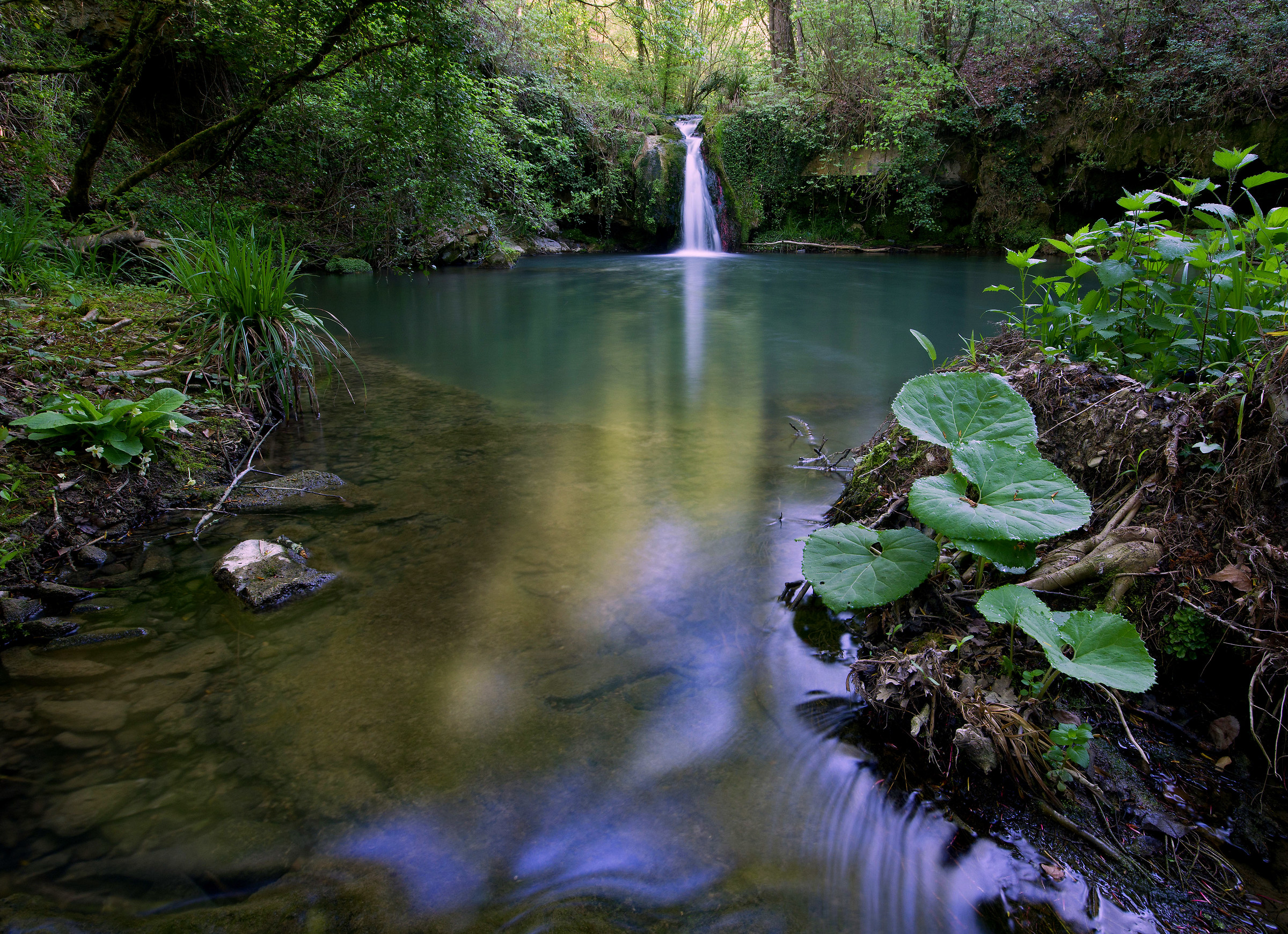 Vagabondando nei boschi del Chianti 1