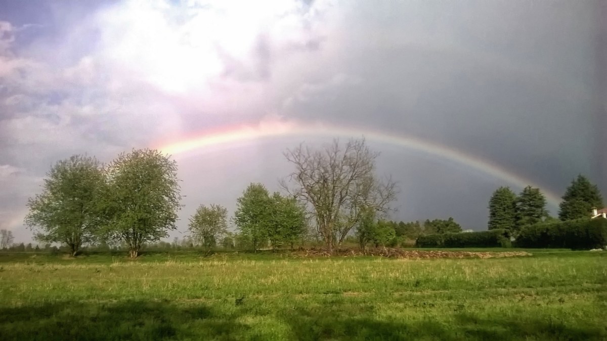 arcobaleno