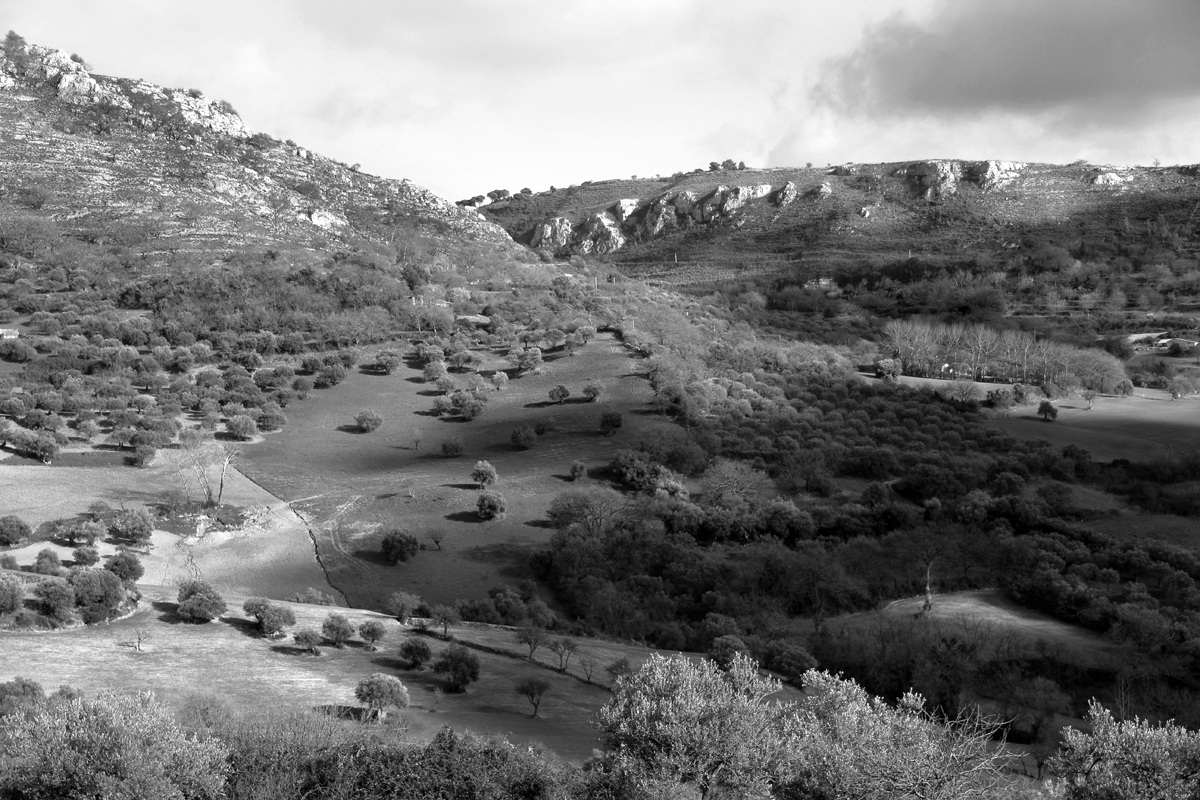 I monti di Palazzolo SR