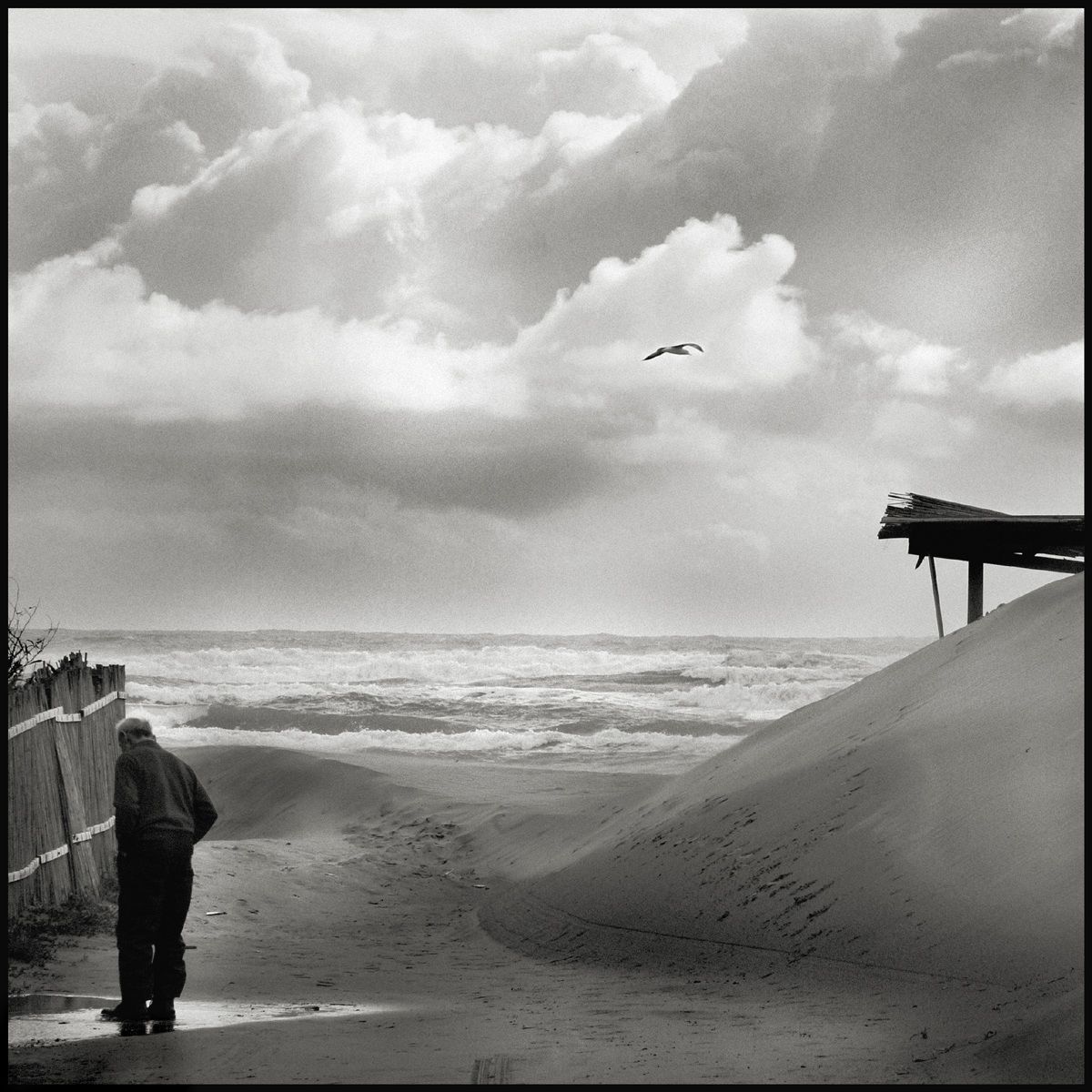 Marispica Pozzallo Uomo solo