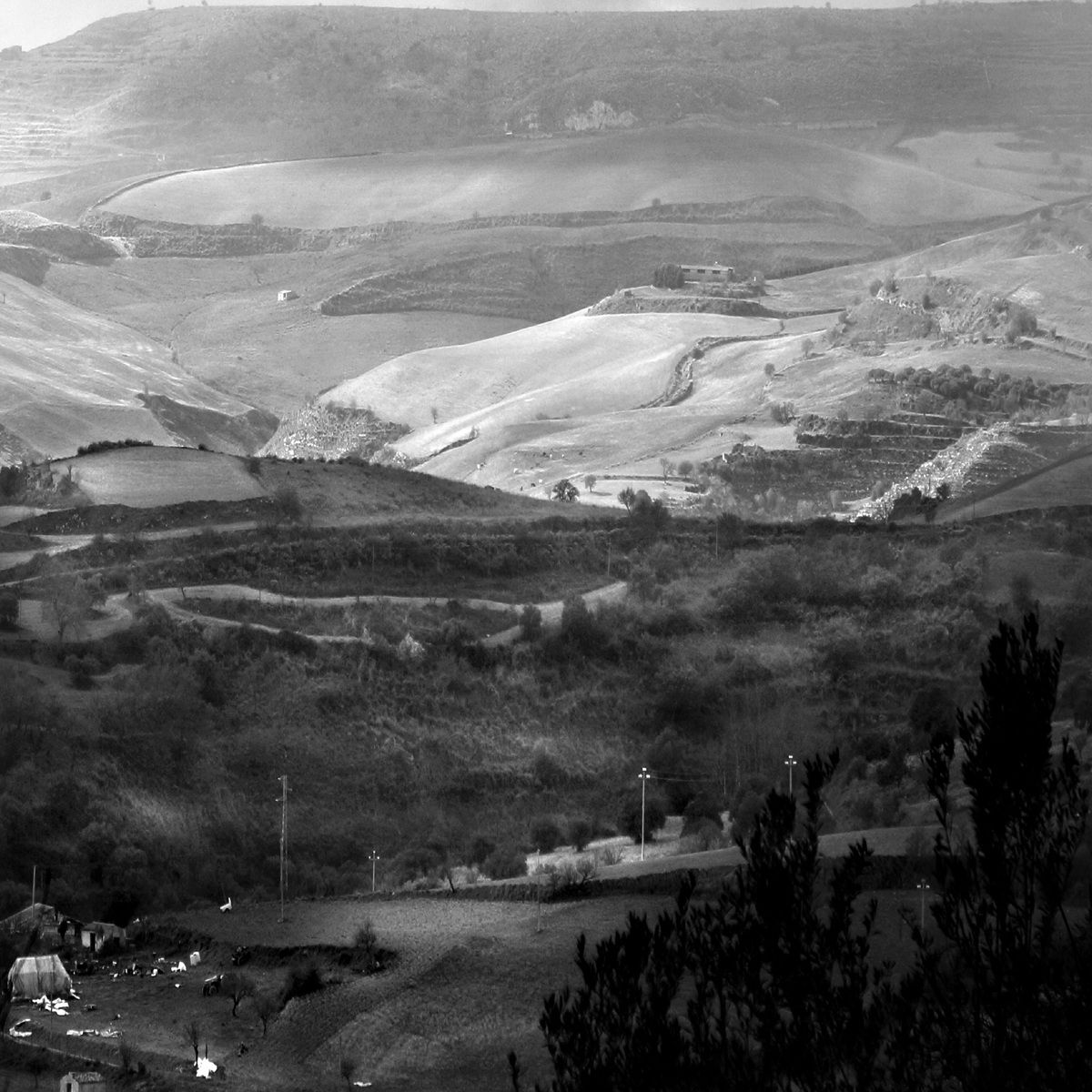 the light in black and white