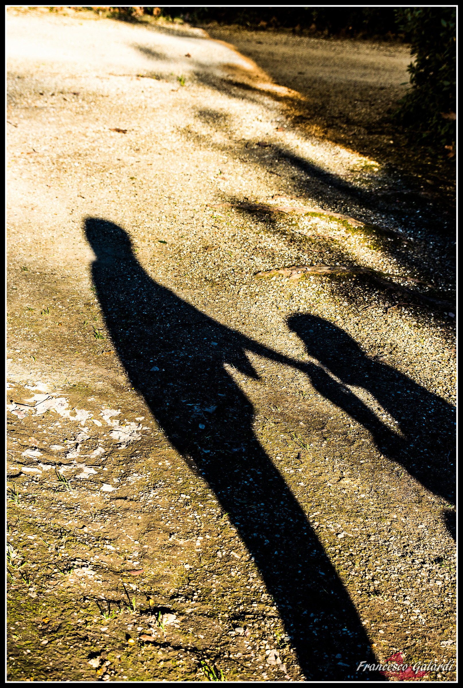 In love project - Marco & Carlotta