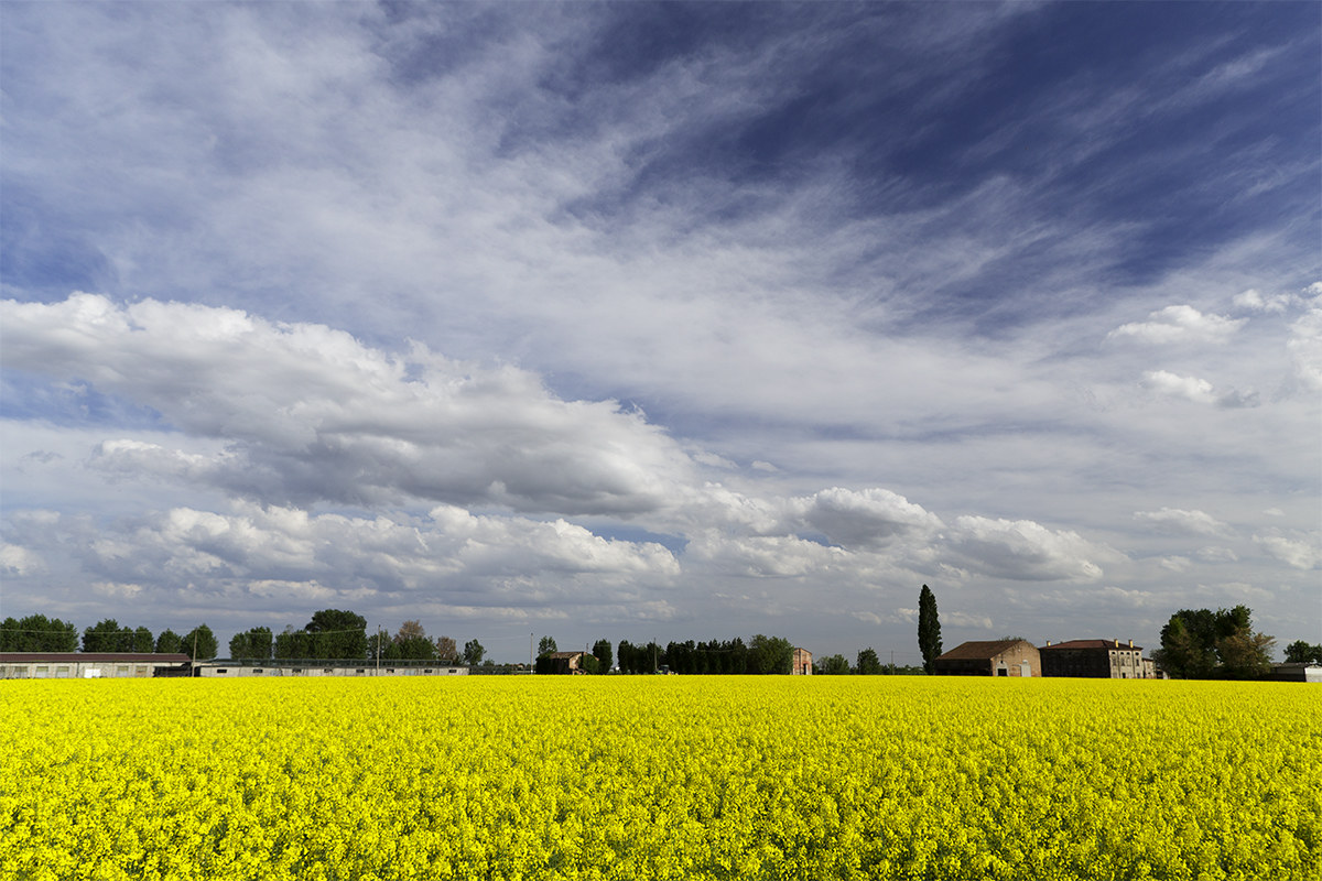 and 'Spring! Wake up girls!