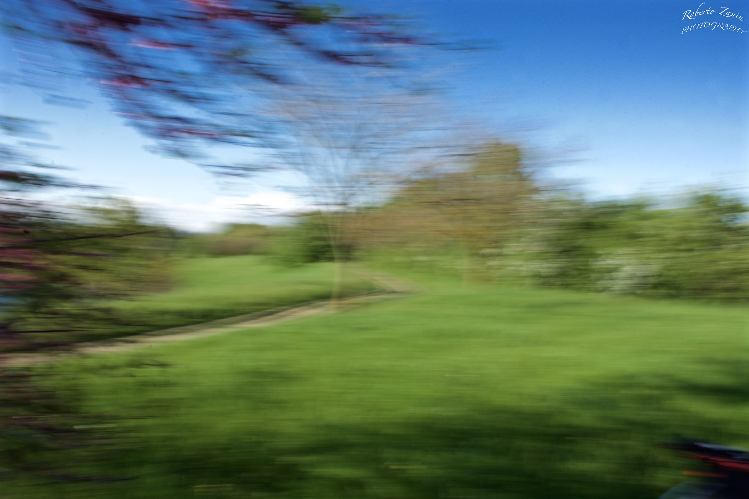 Correndo...nel parco