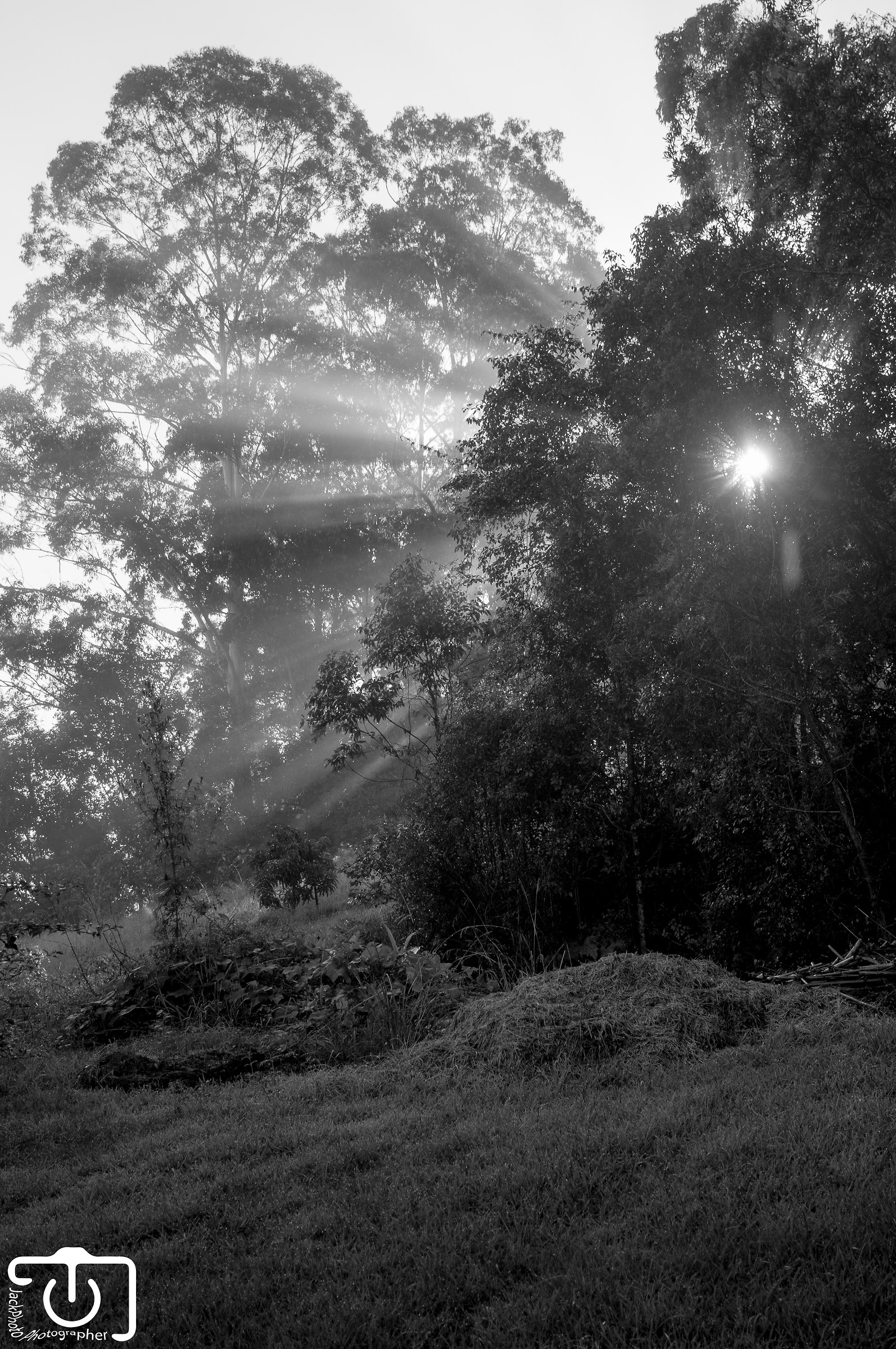 I am the Sun and nobody can stop me