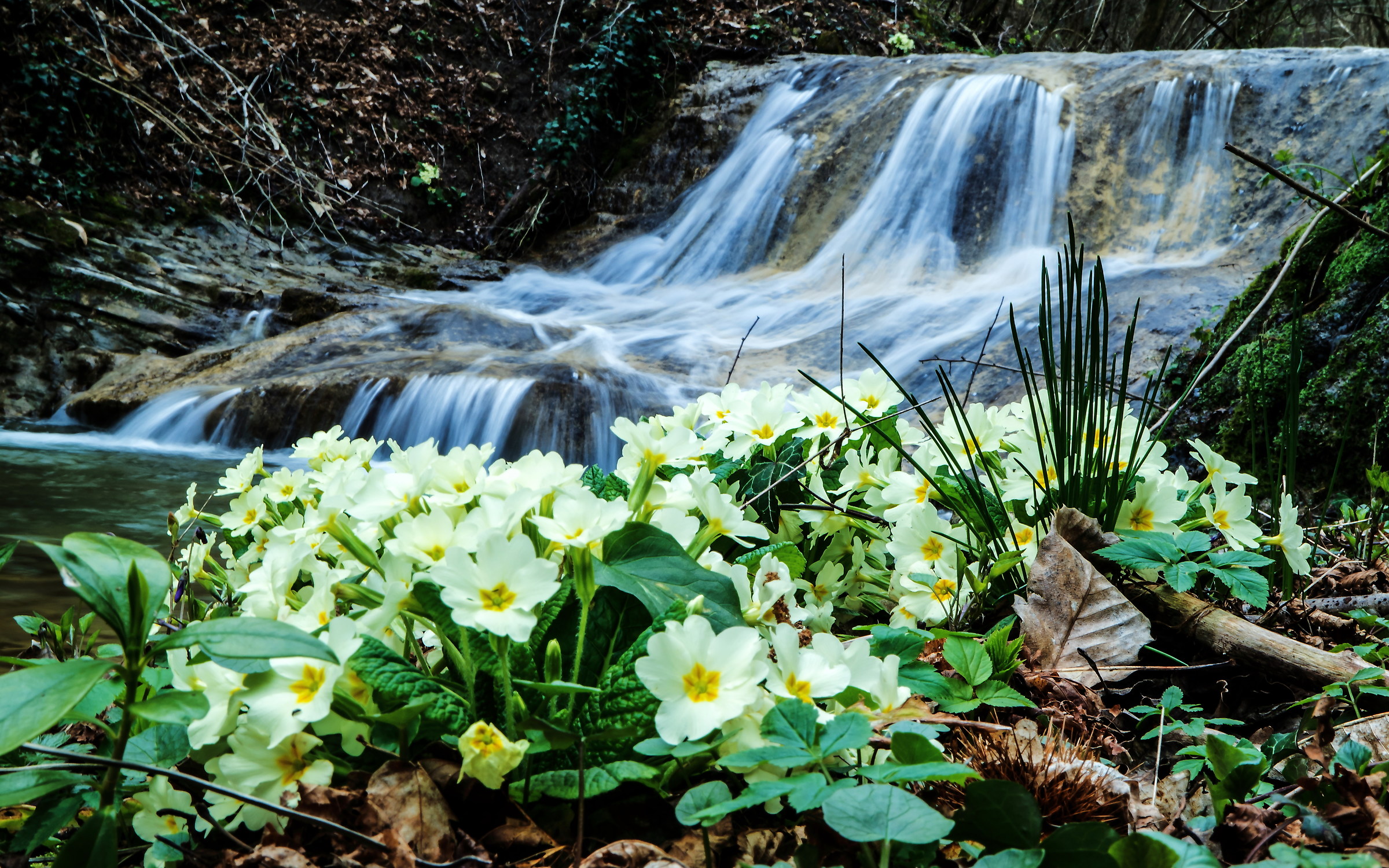 Cascate del Bucamante