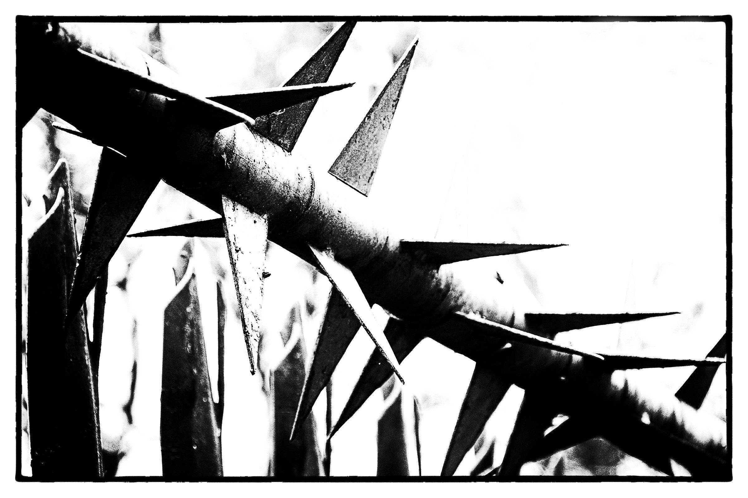 I visitatori non graditi!