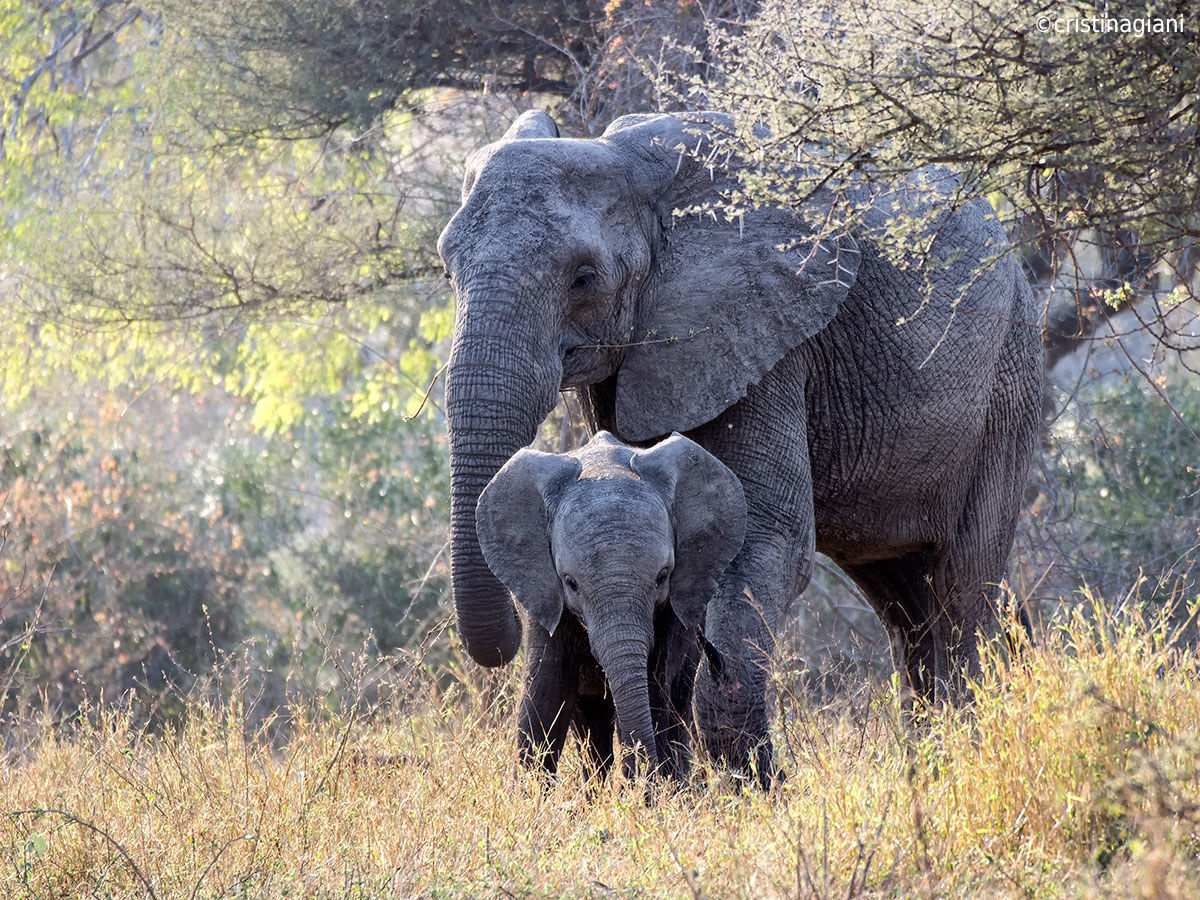 To the park with her mother