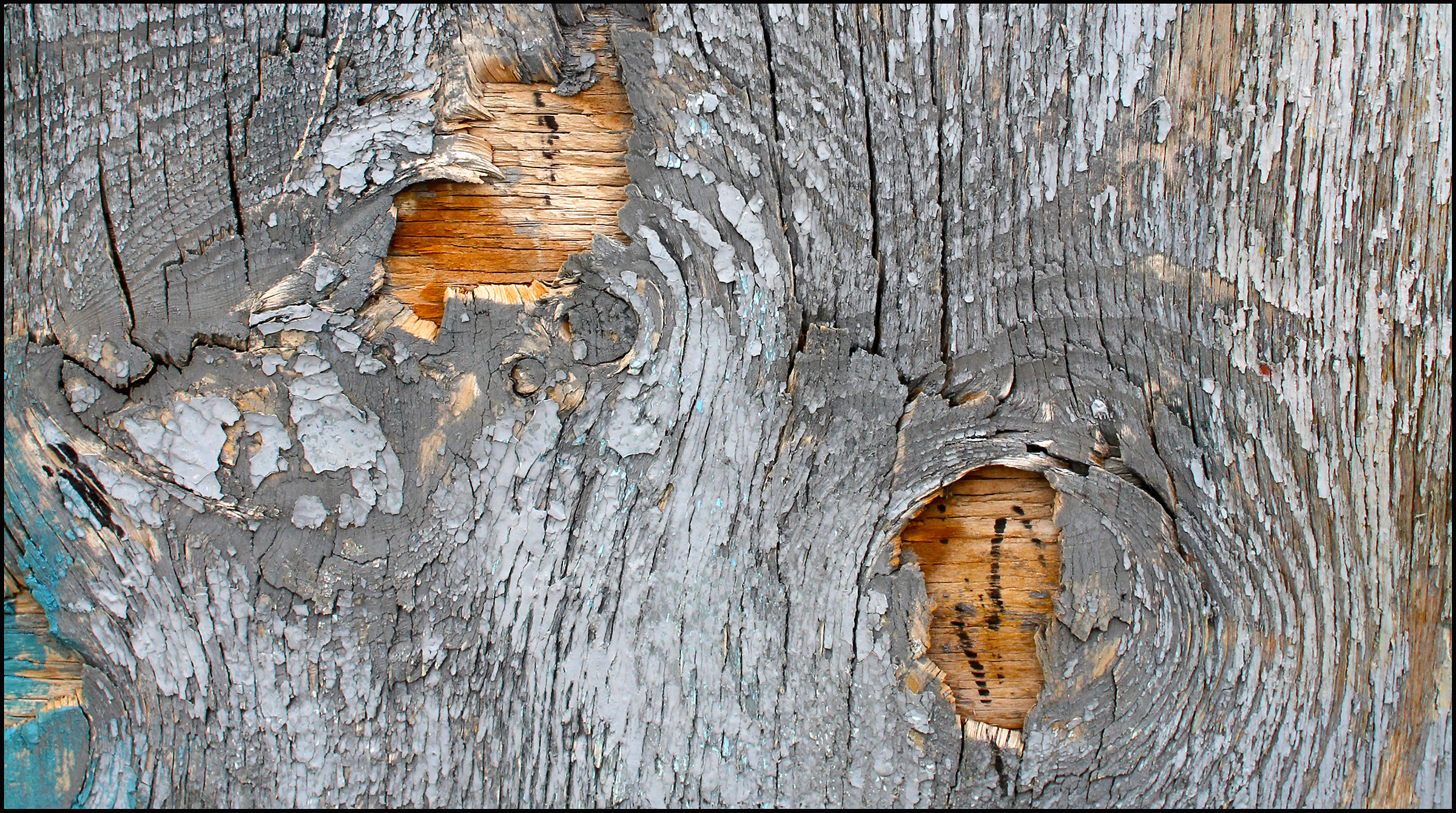 detail of an old cabin by the sea ...