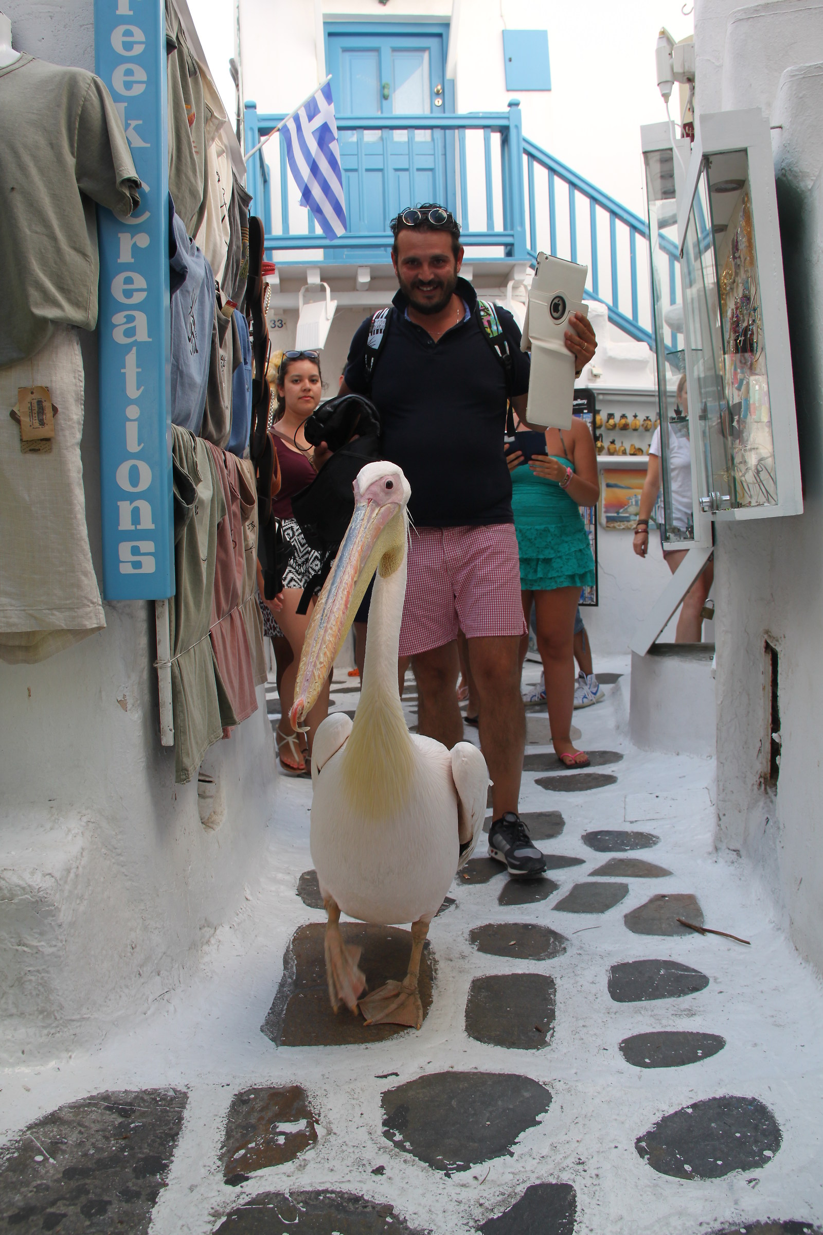 a walk around the city