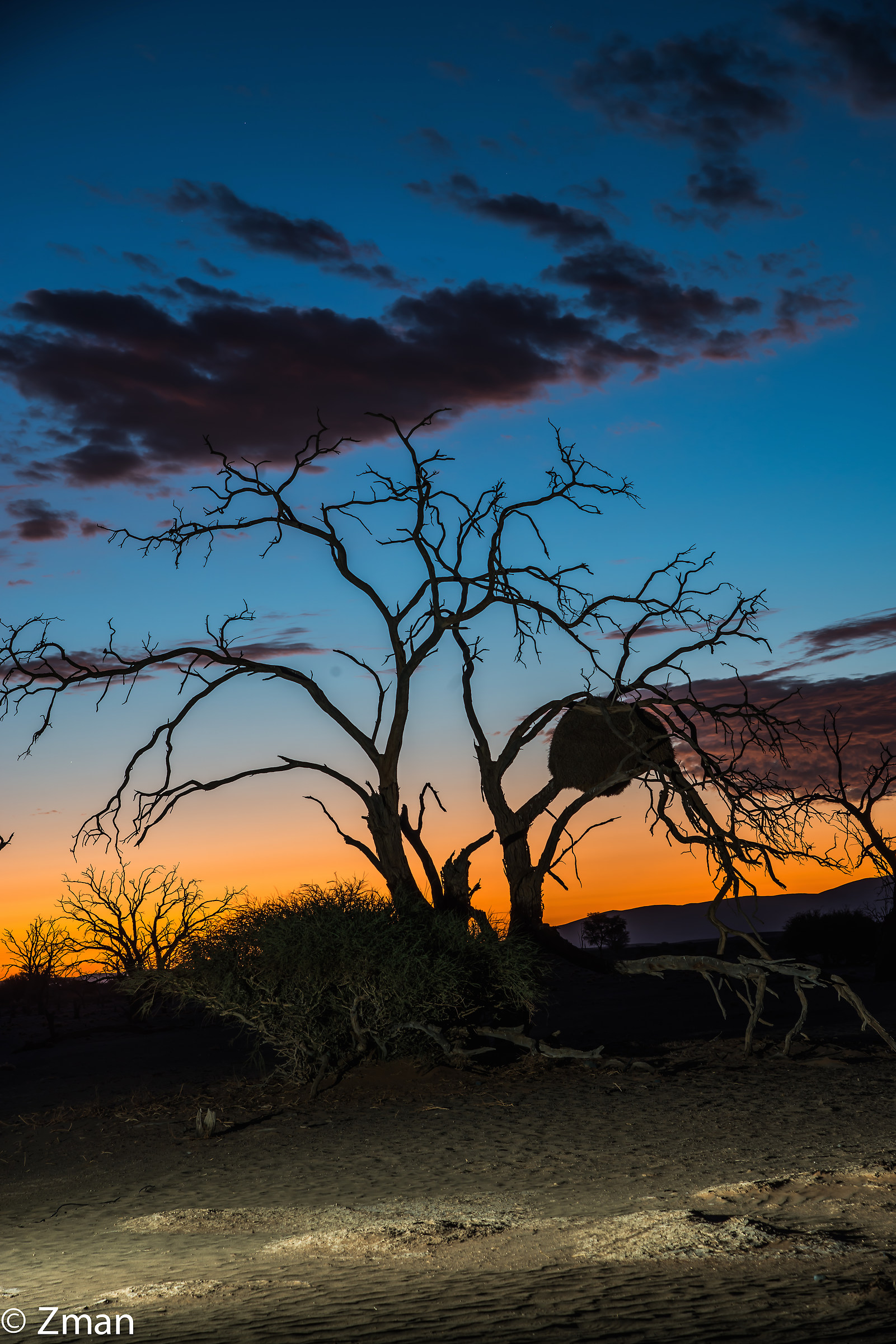 Namibia The Wild